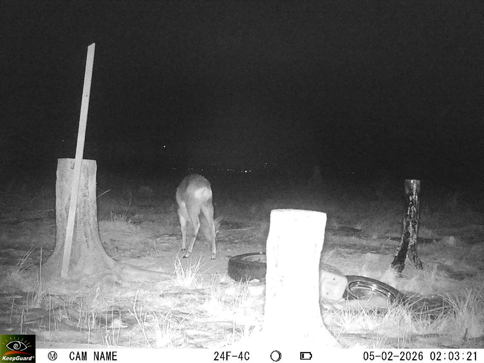 Bild: 1770249975656725405_02050482.webp