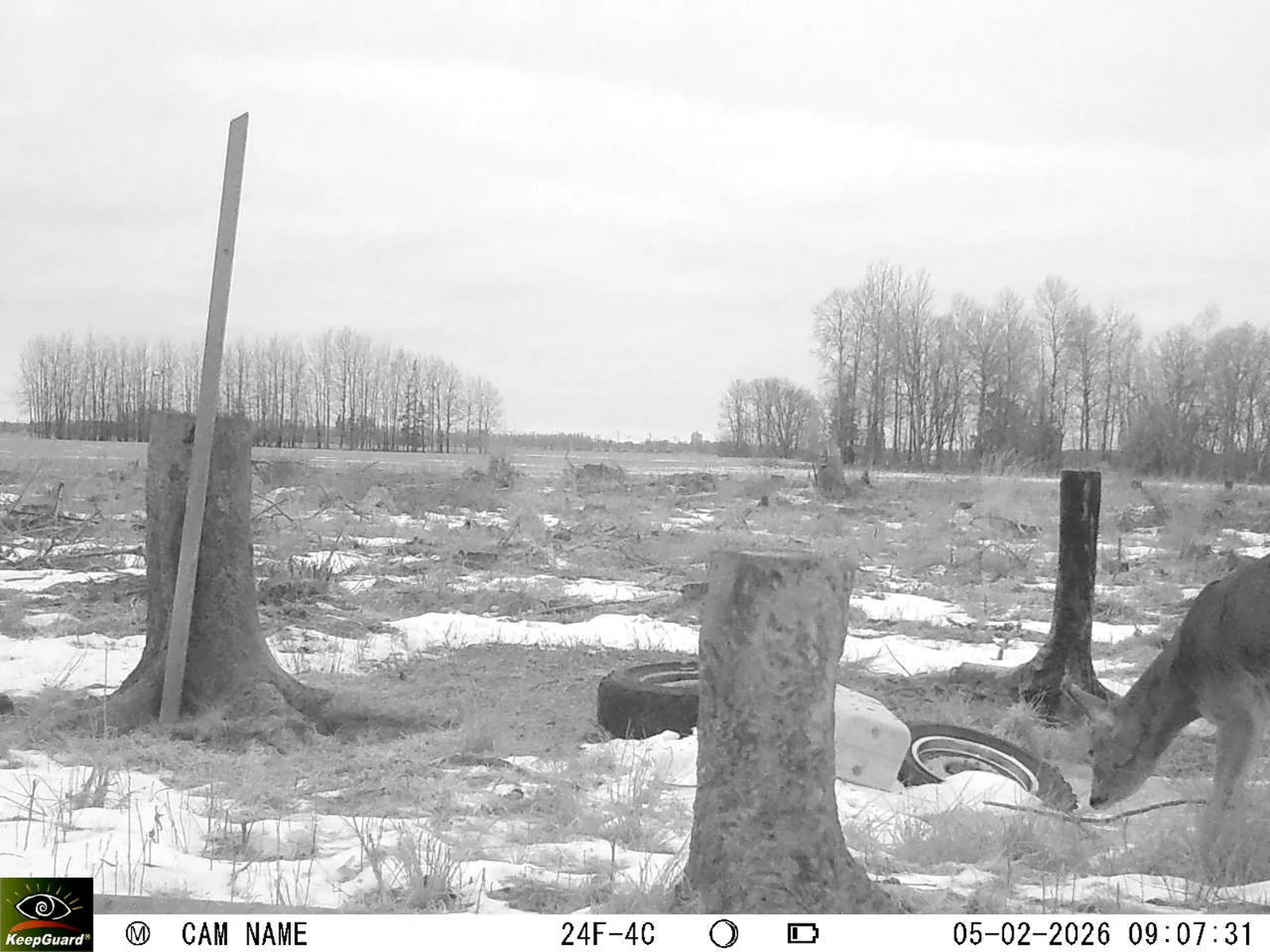 Bild: 1770275432722764921_02050483.webp