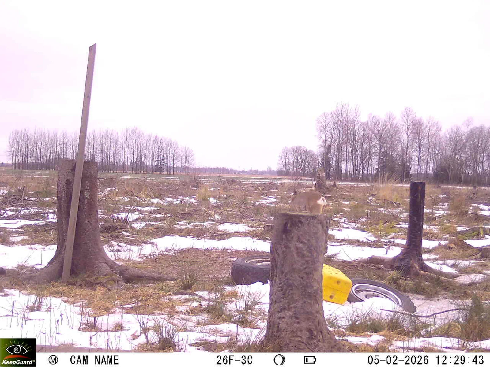 Bild: 1770287569812142882_02050485.webp