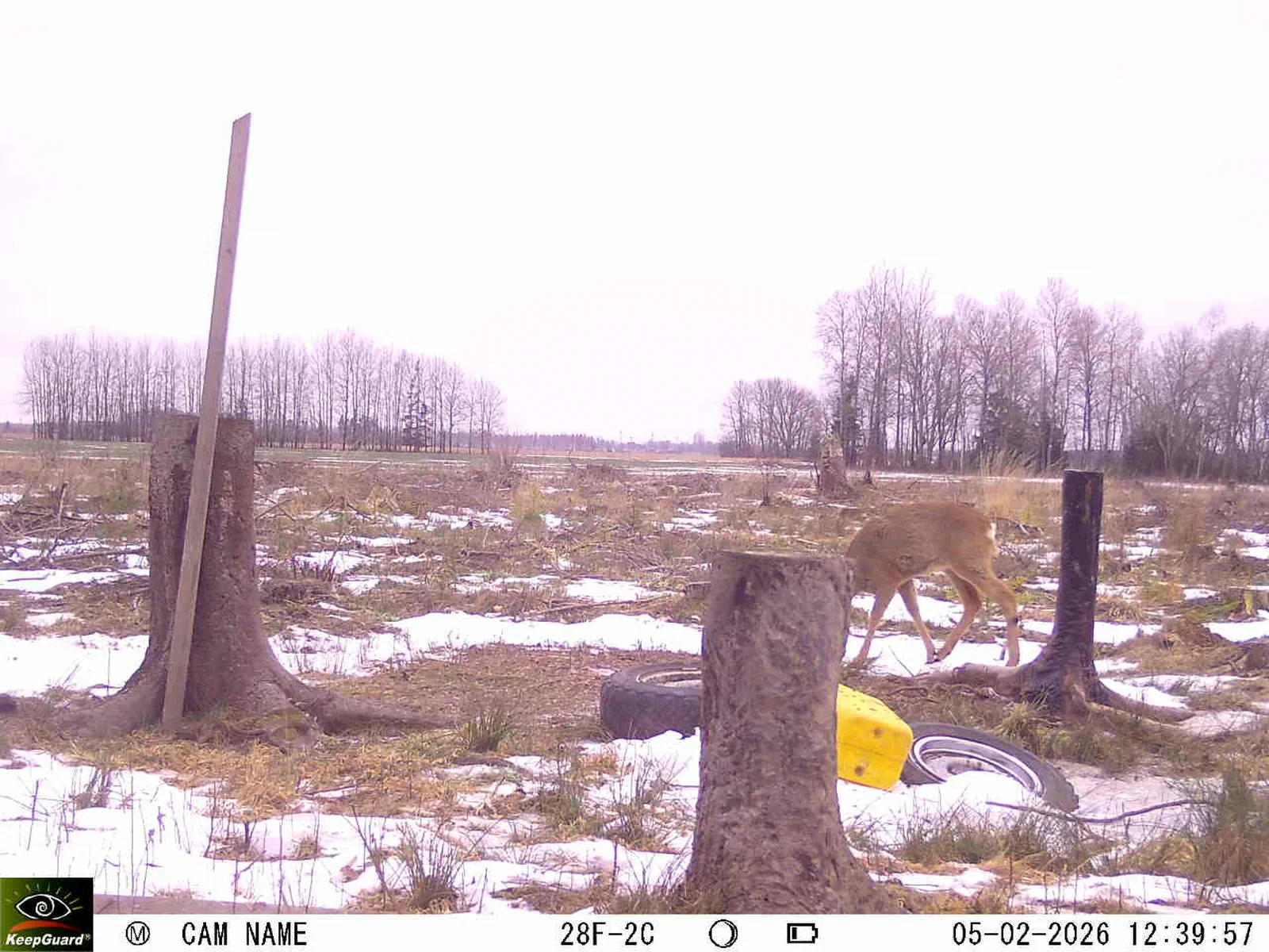 Bild: 1770288179340929080_02050486.webp