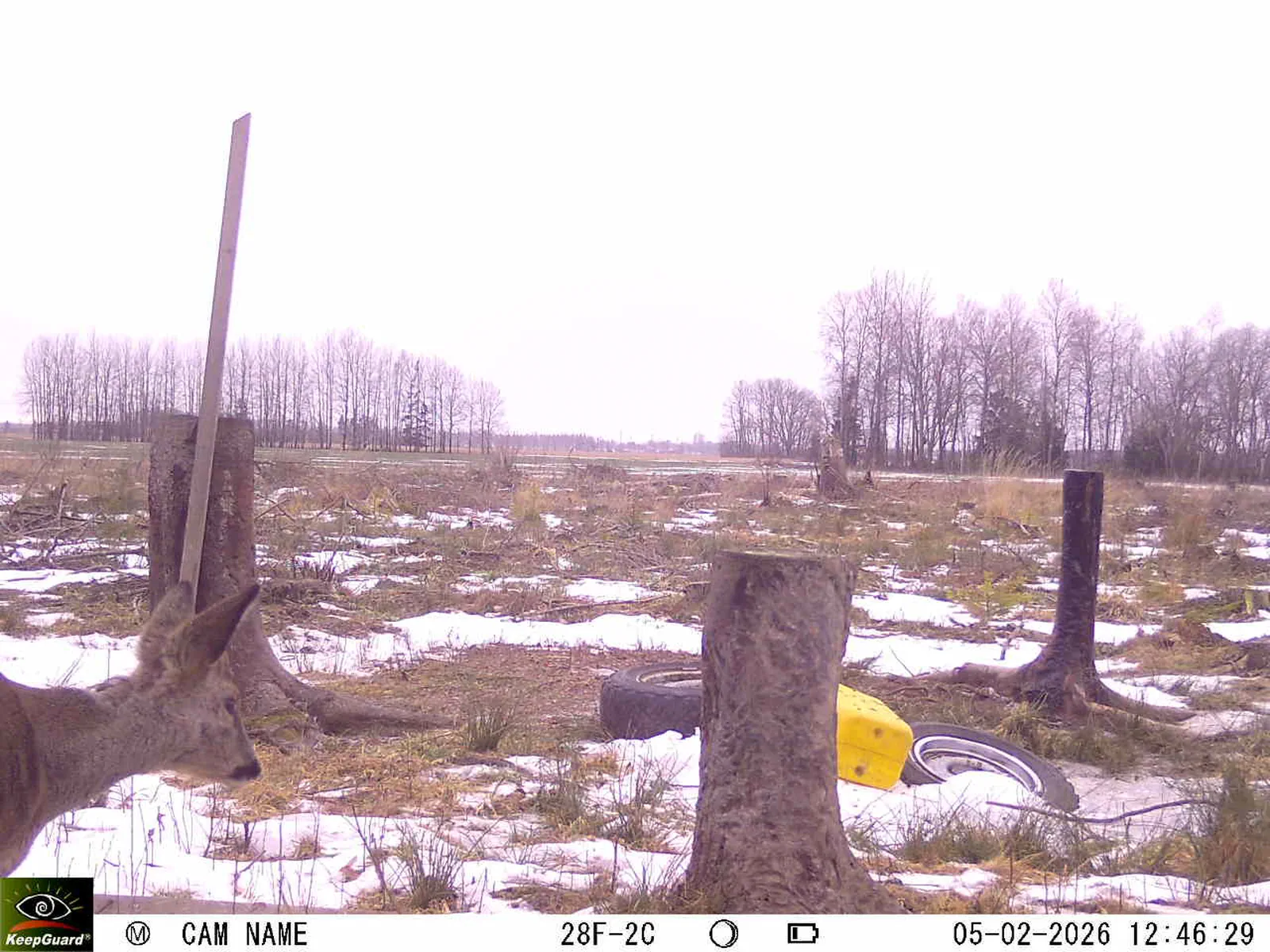 Bild: 1770288568339136407_02050487.webp