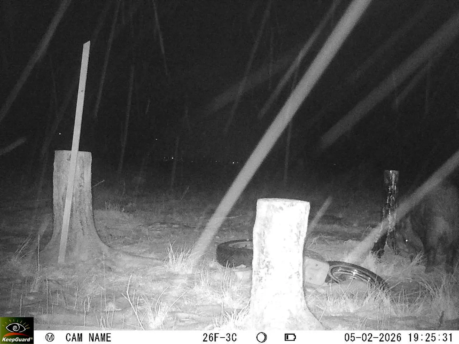 Bild: 1770312507232906440_02050489.webp