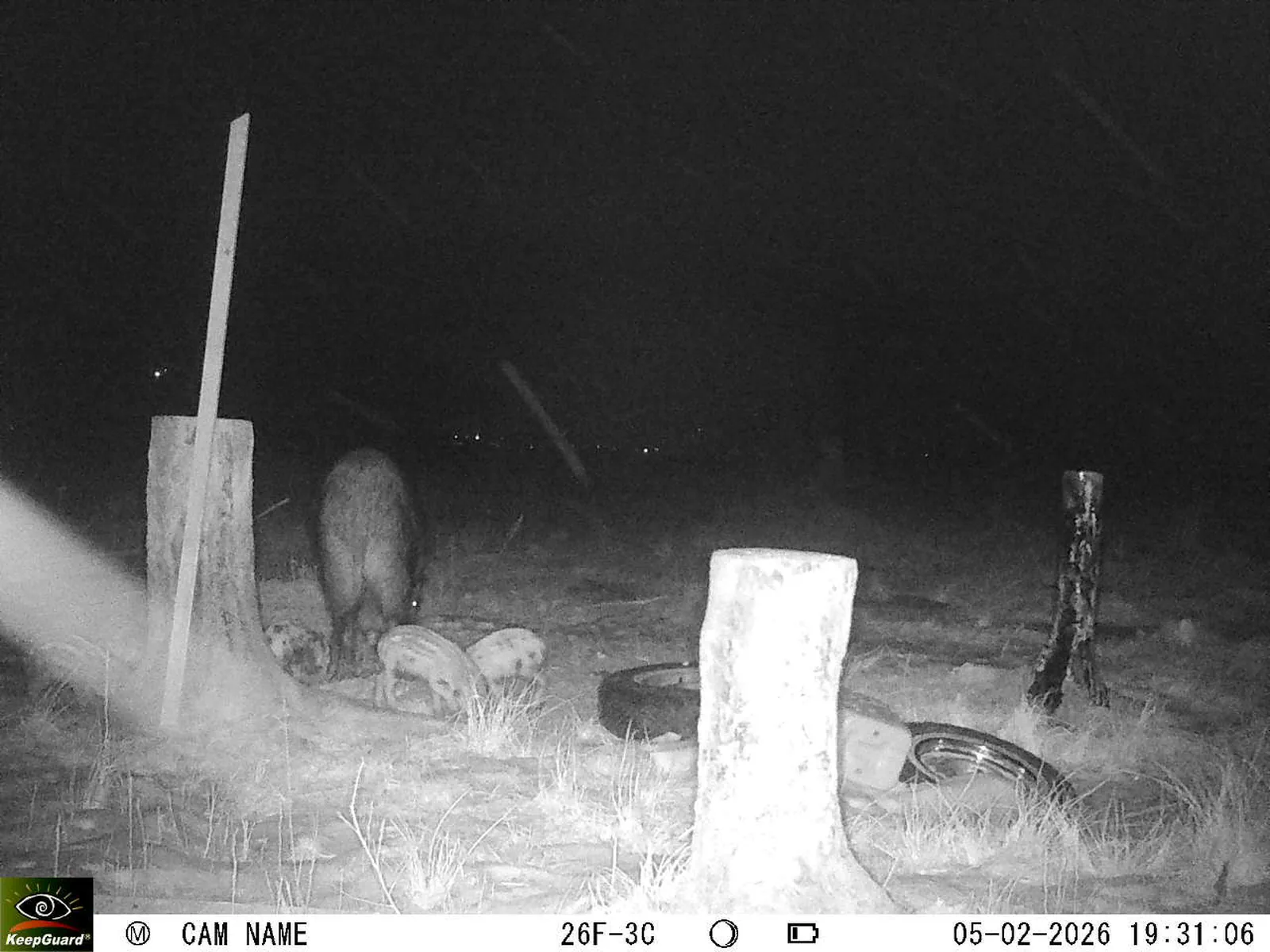 Bild: 1770312841605392108_02050490.webp