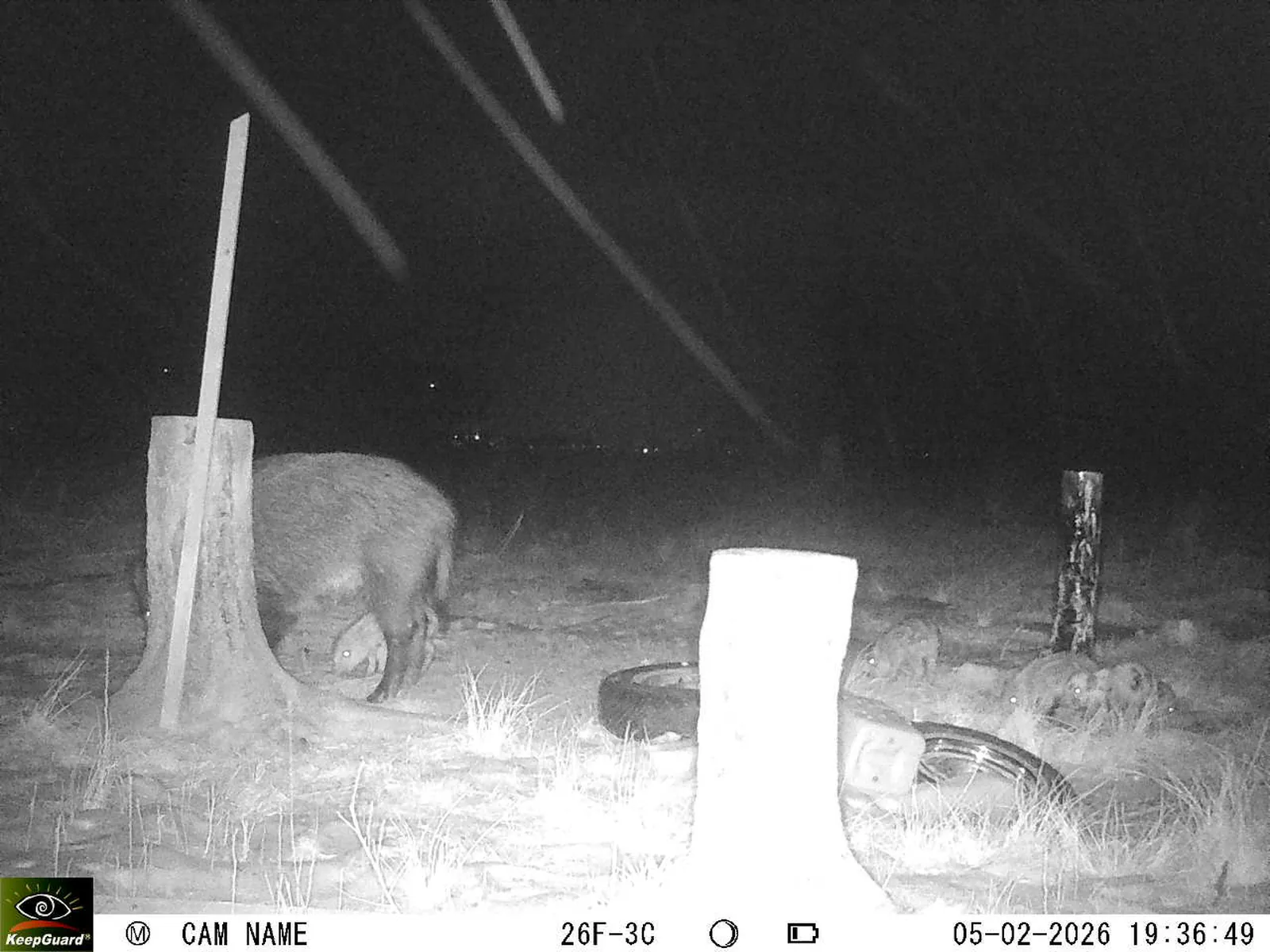 Bild: 1770313184710932495_02050491.webp