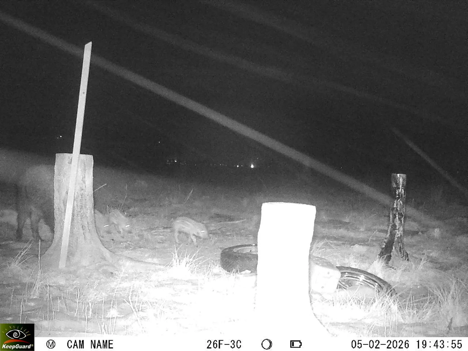 Bild: 1770313610567962142_02050492.webp