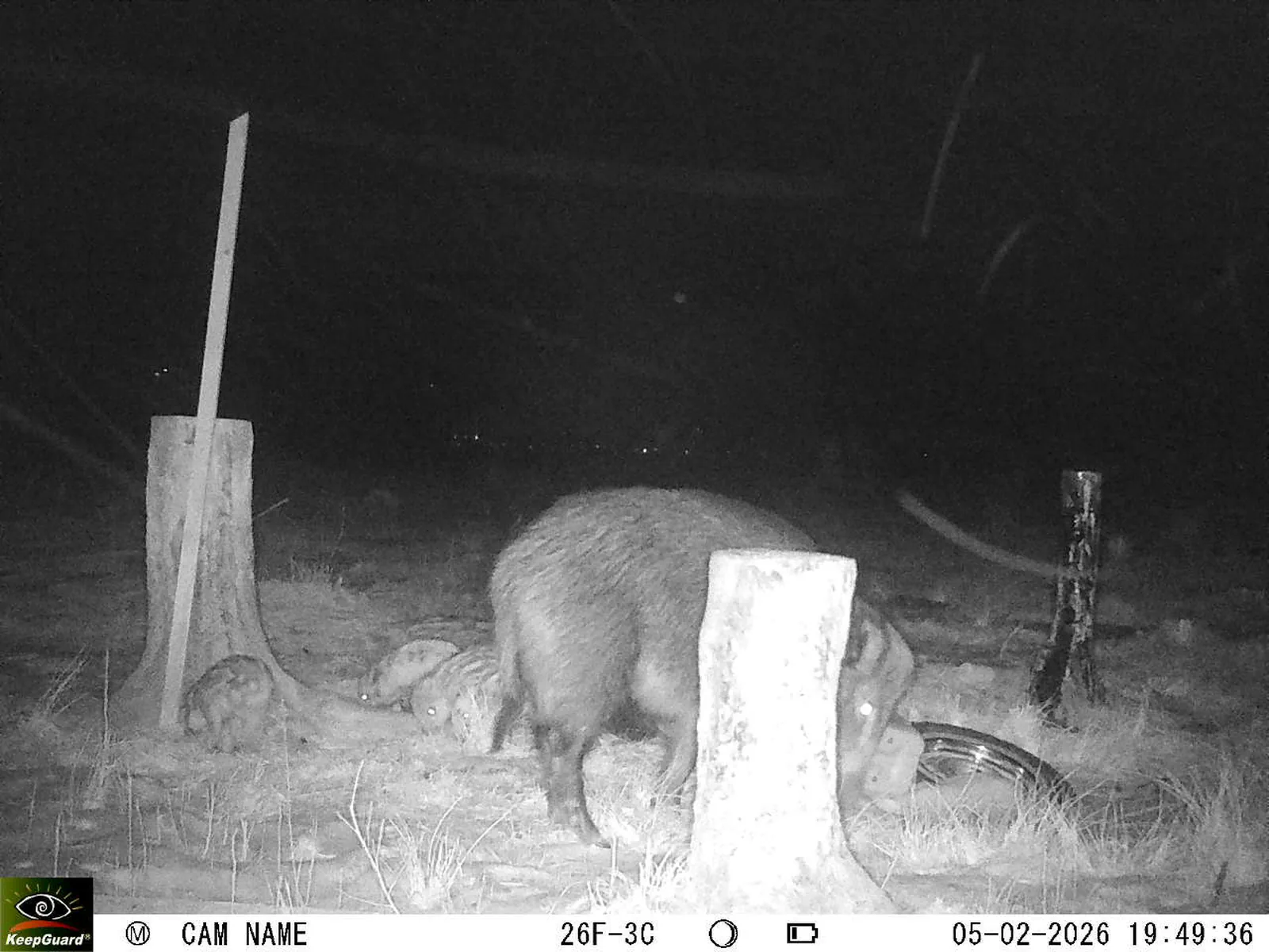 Bild: 1770313953692062602_02050493.webp