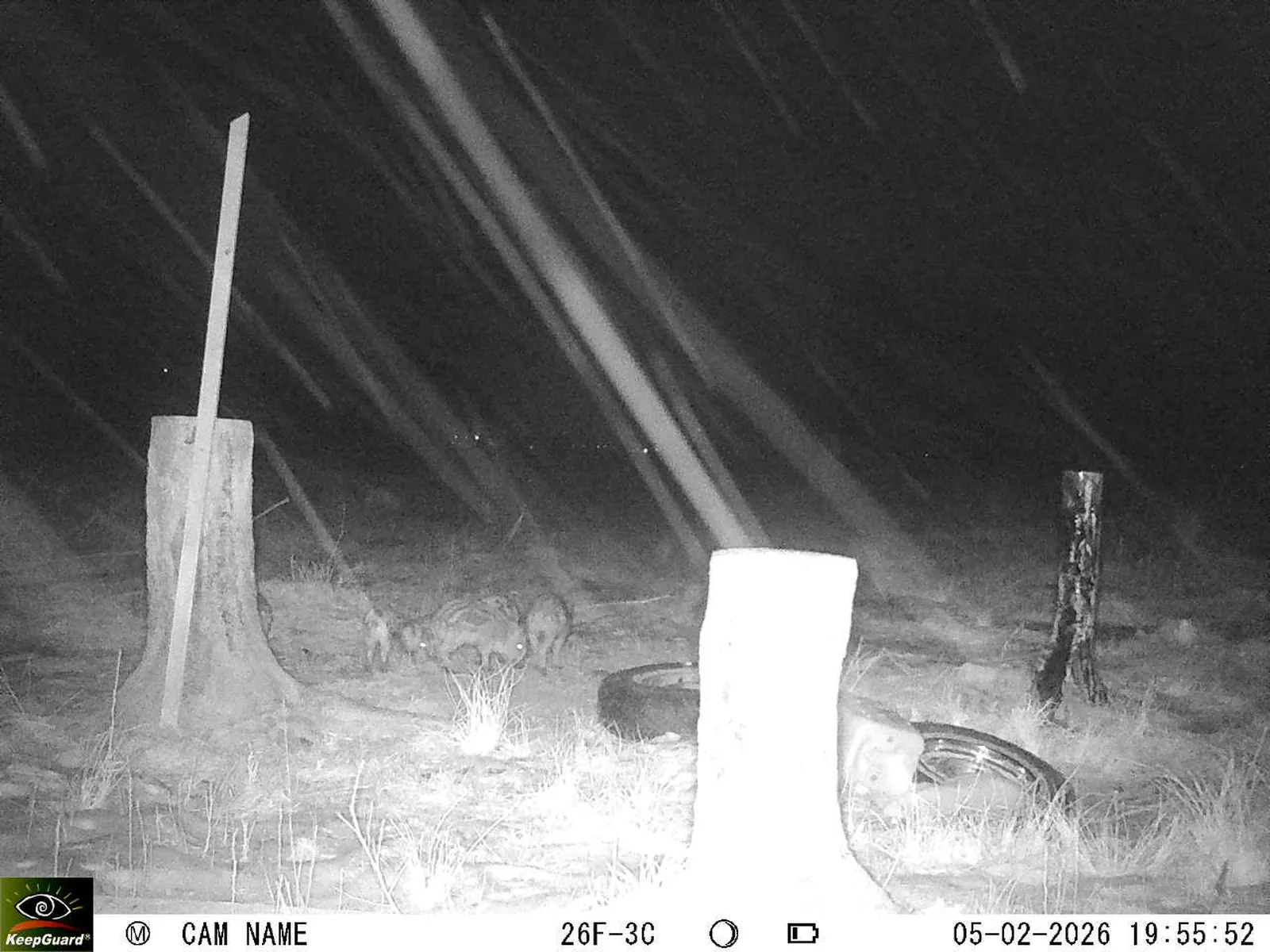 Bild: 1770314328474877749_02050494.webp