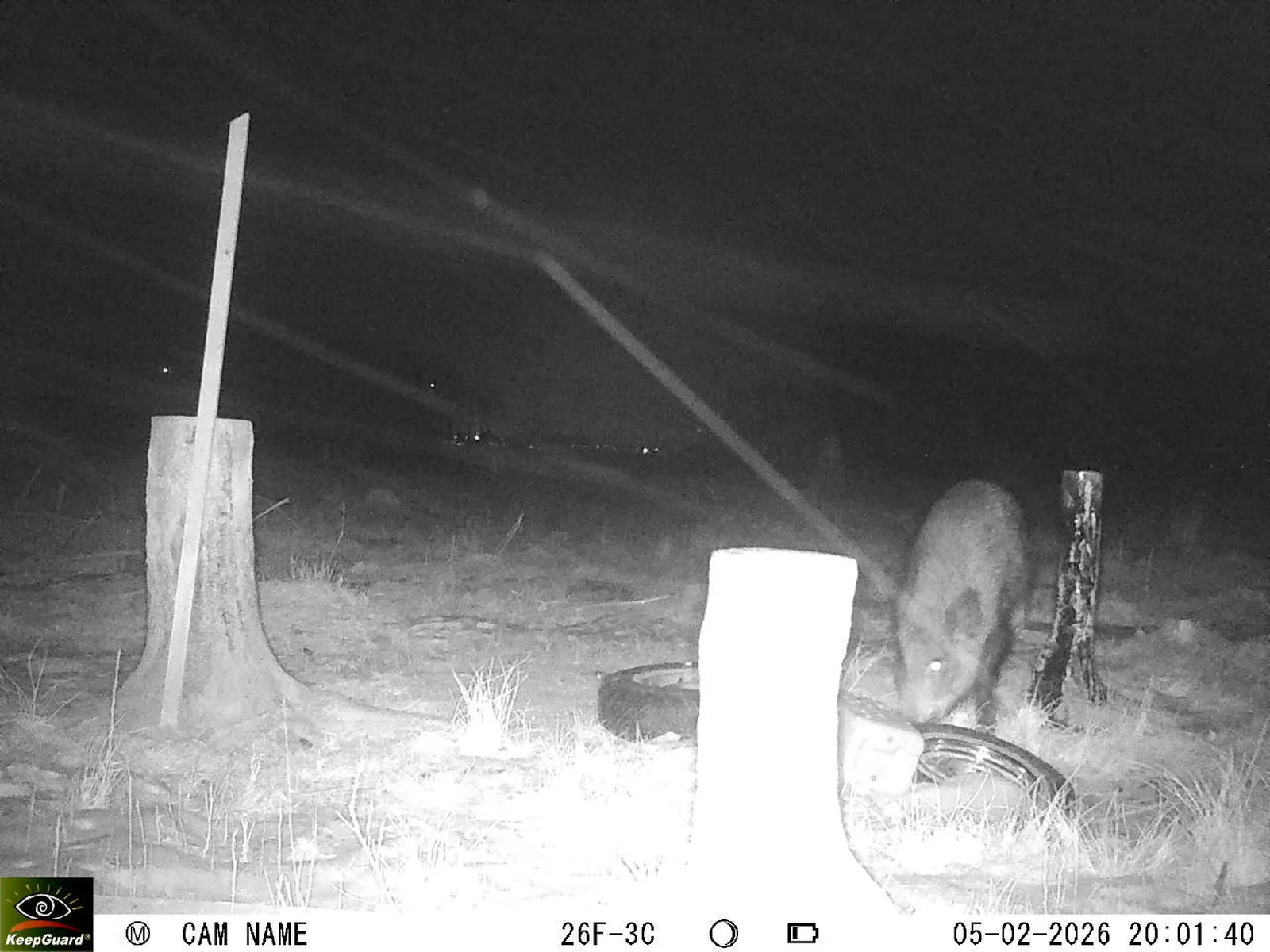 Bild: 1770314678294885658_02050495.webp