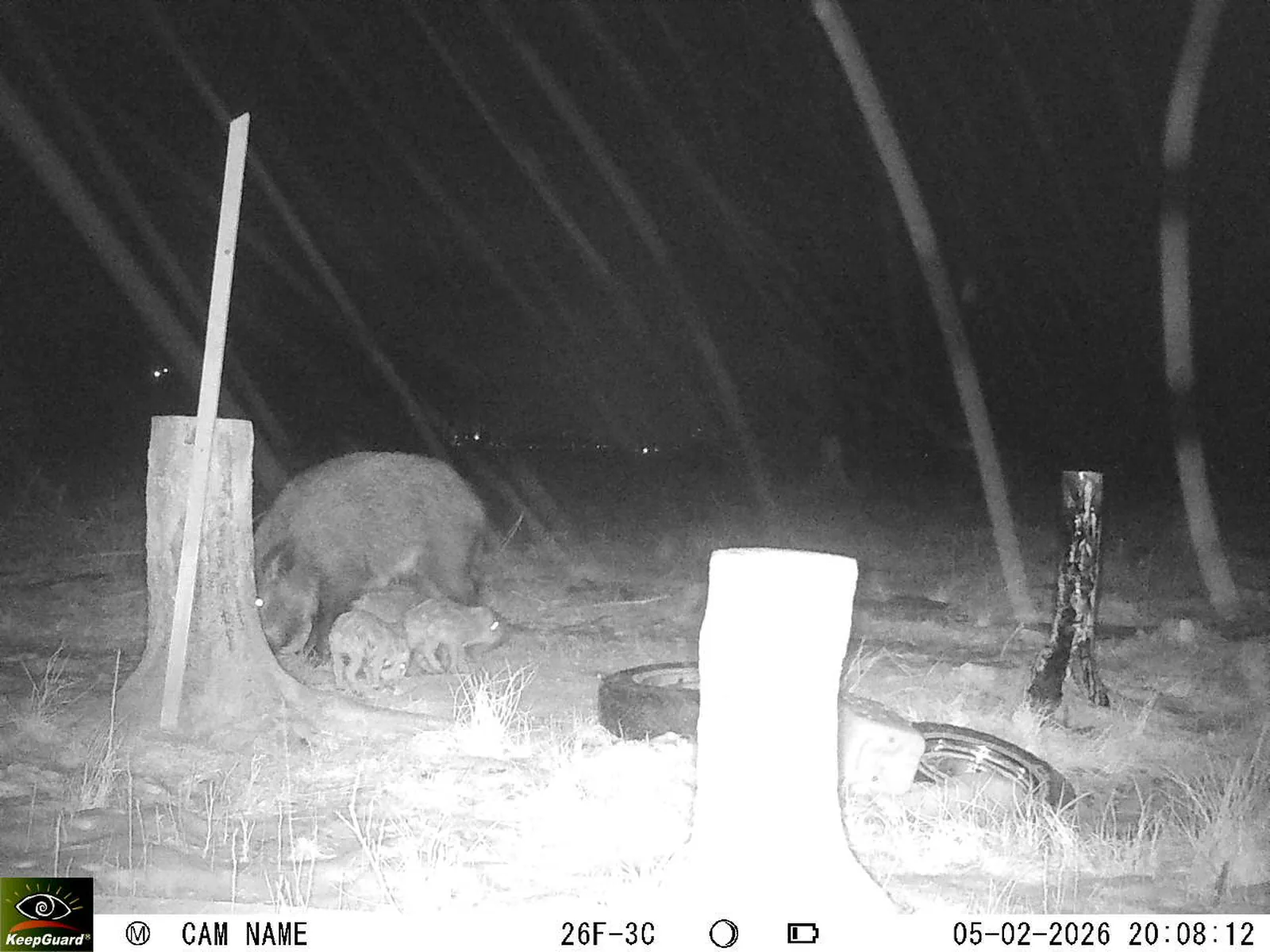 Bild: 1770315067876623952_02050496.webp