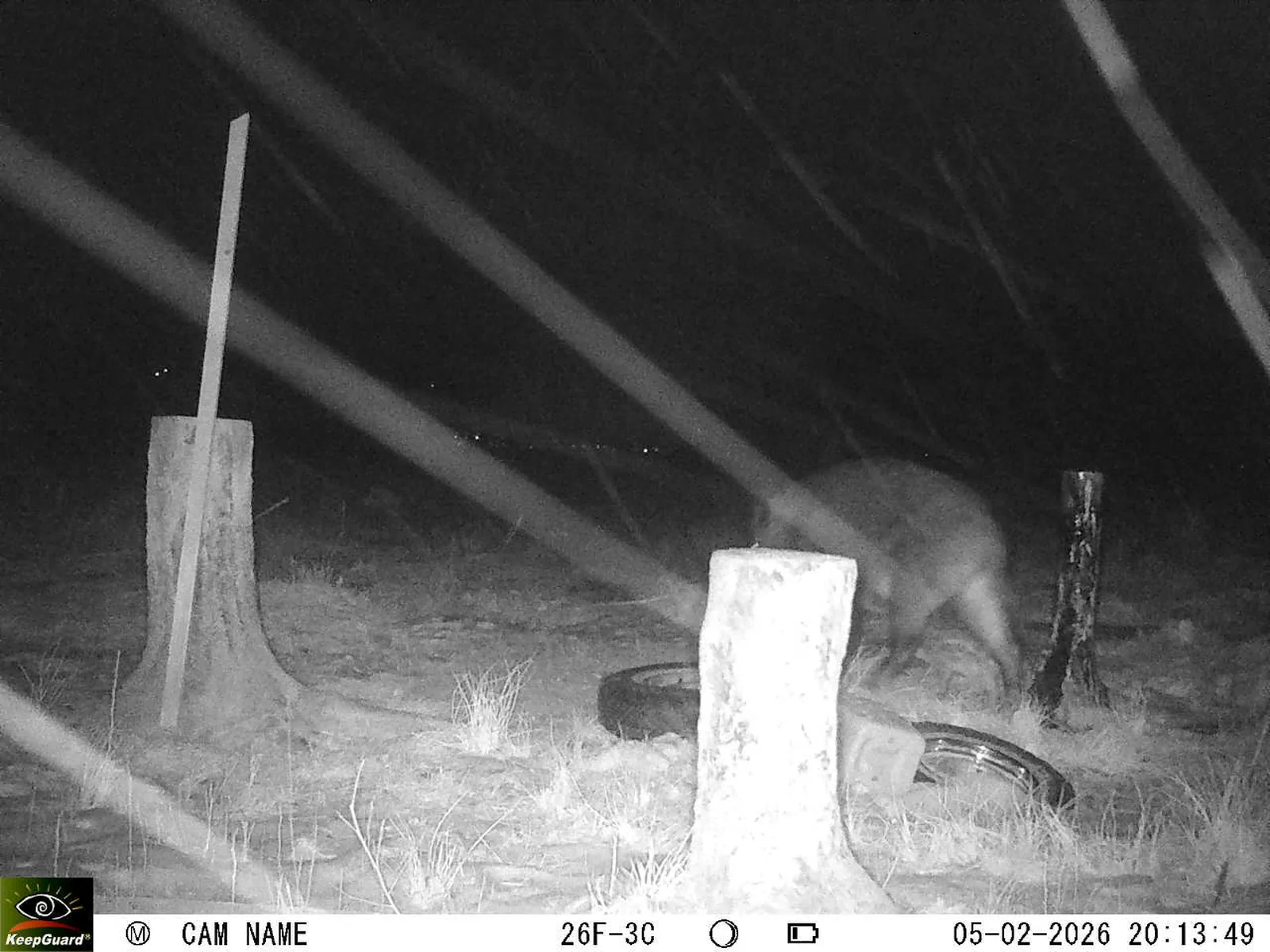 Bild: 1770315407017142220_02050497.webp