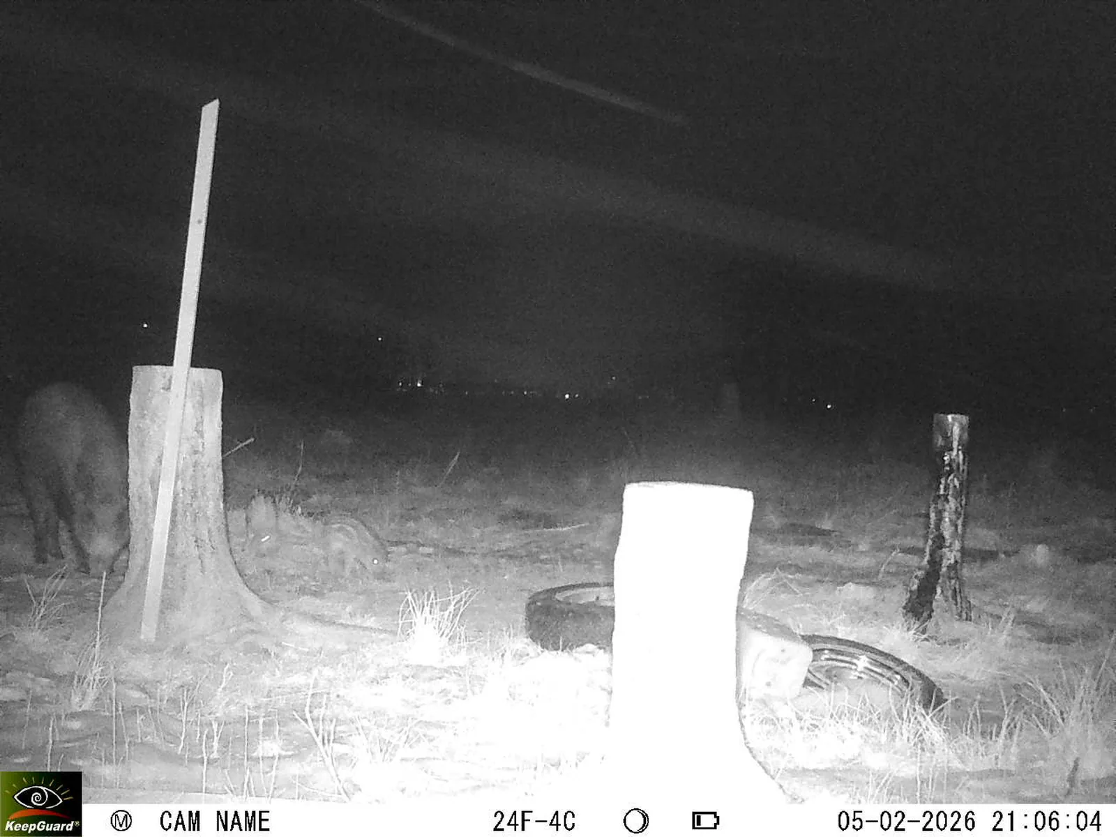 Bild: 1770318540209226089_02050498.webp