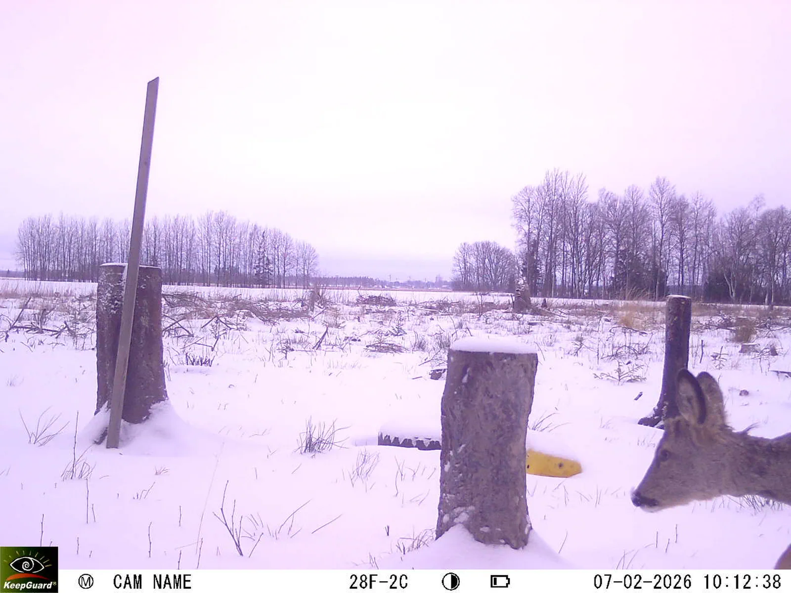 Bild: 1770452138021741302_02070501.webp