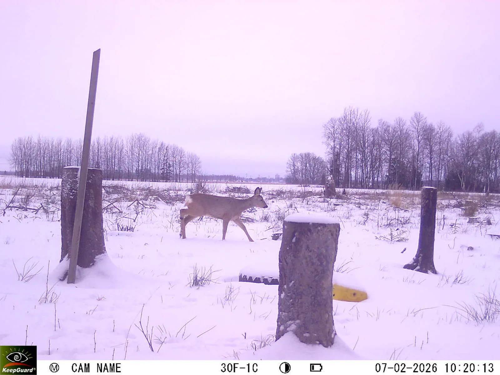 Bild: 1770452593057674861_02070502.webp