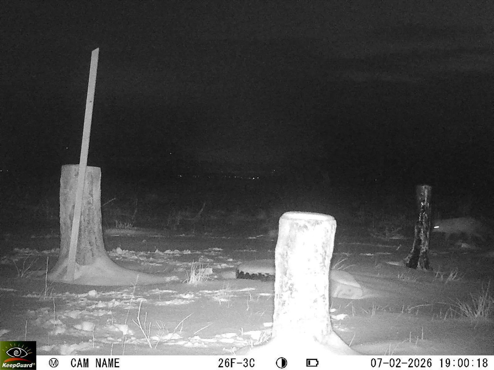 Bild: 1770483800008542884_02070503.webp