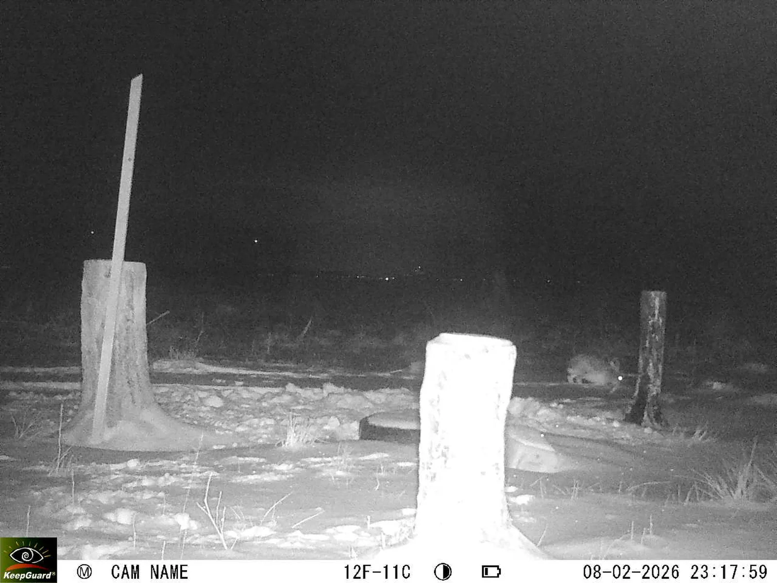 Bild: 1770585662627800109_02080507.webp