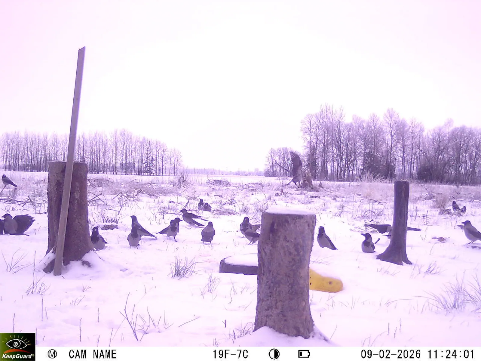 Bild: 1770629234679483835_02090509.webp