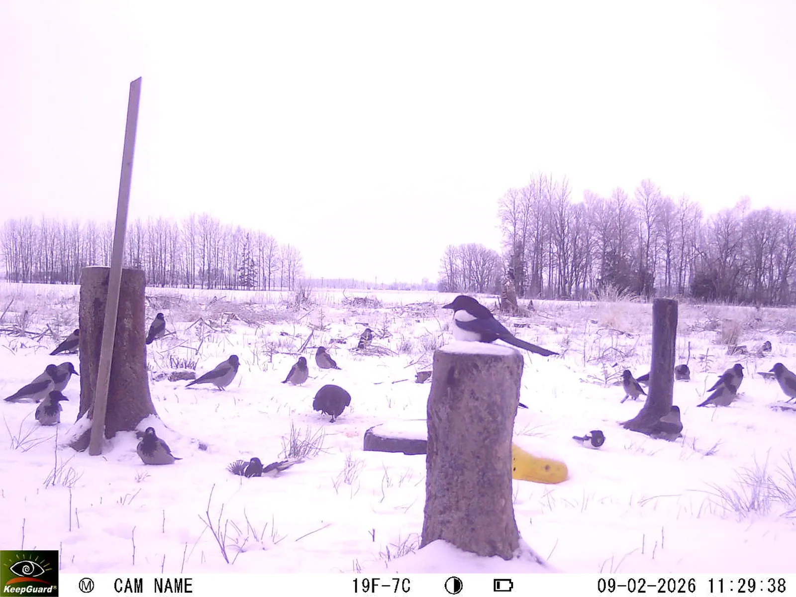 Bild: 1770629563696627648_02090510.webp