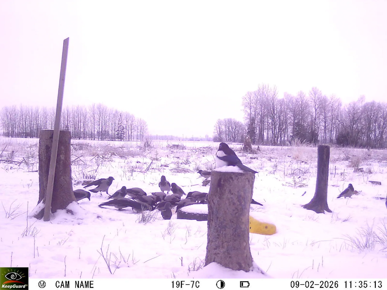 Bild: 1770629896954920749_02090511.webp