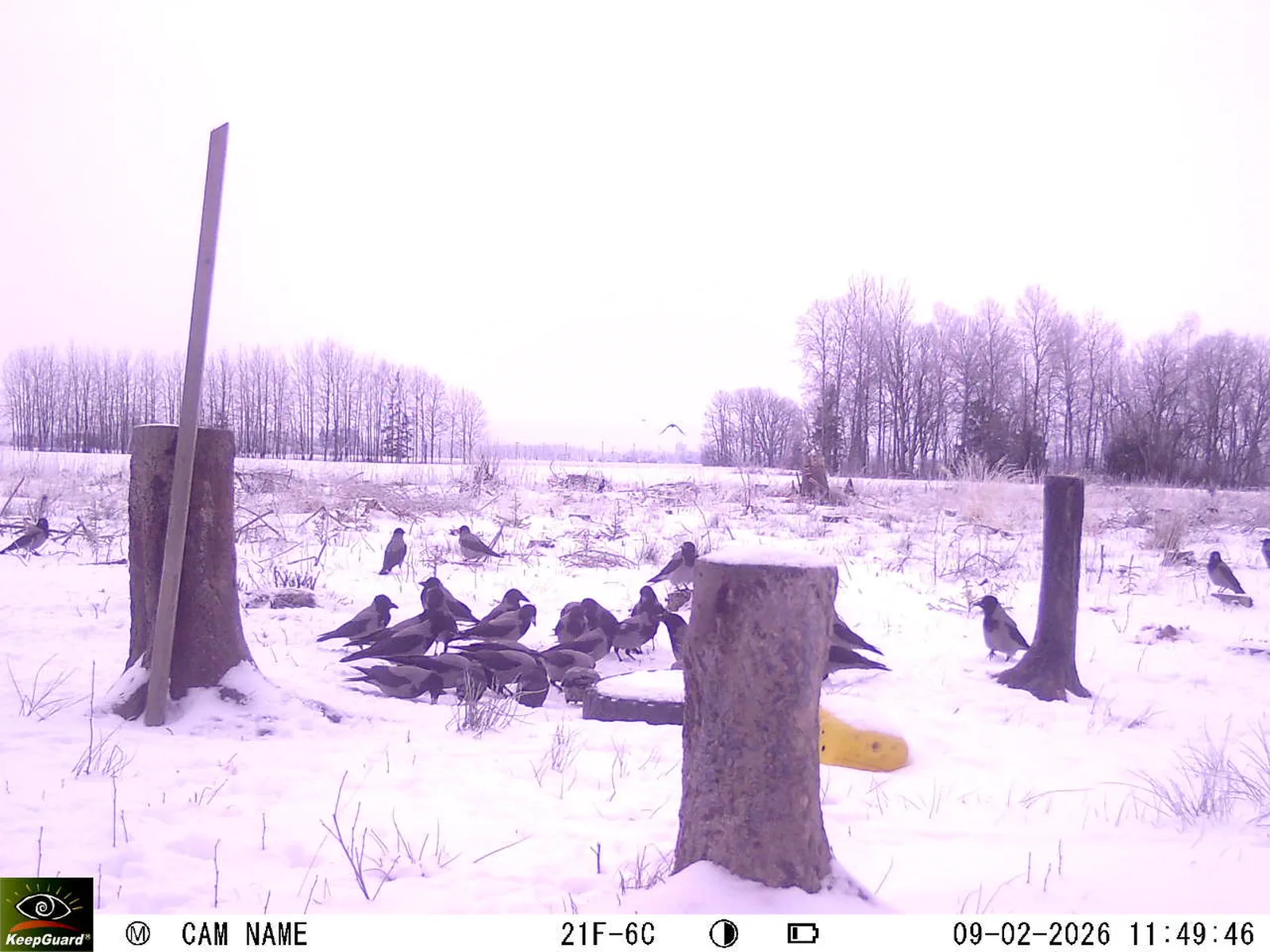 Bild: 1770630771682987510_02090513.webp