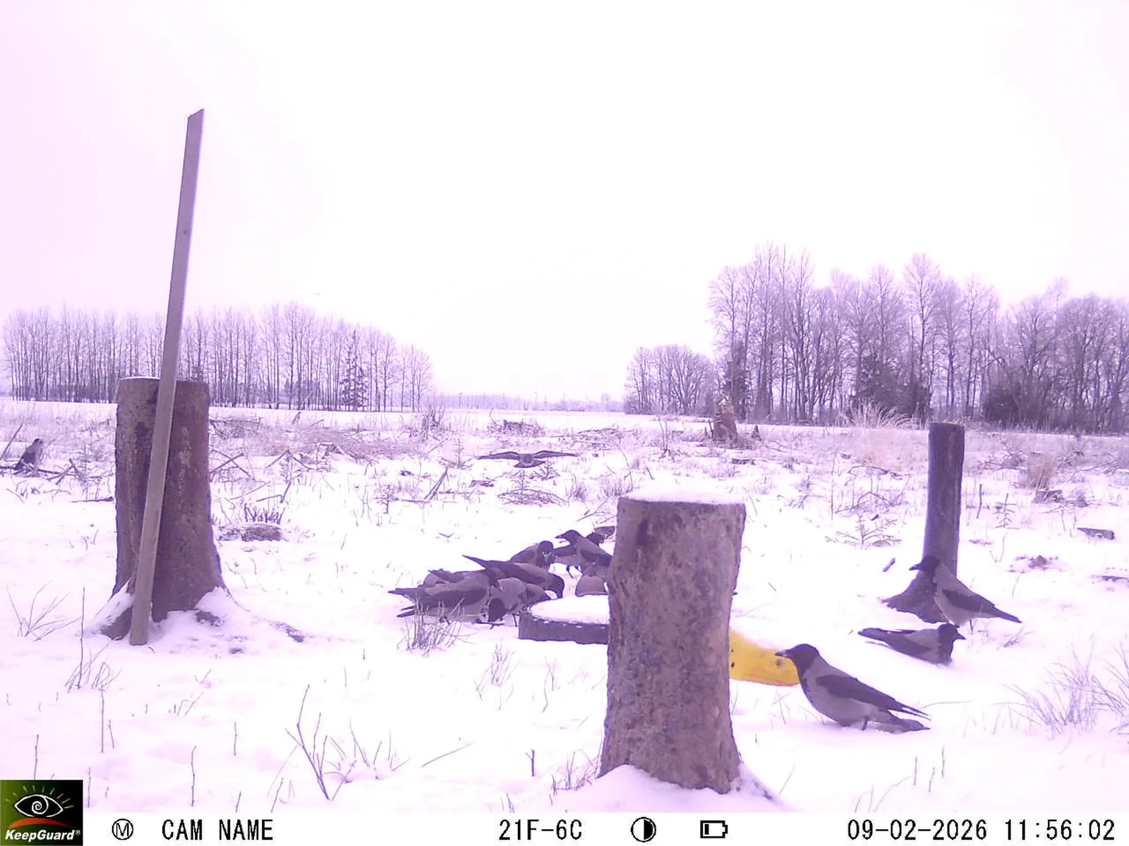 Bild: 1770631153030488319_02090514.webp