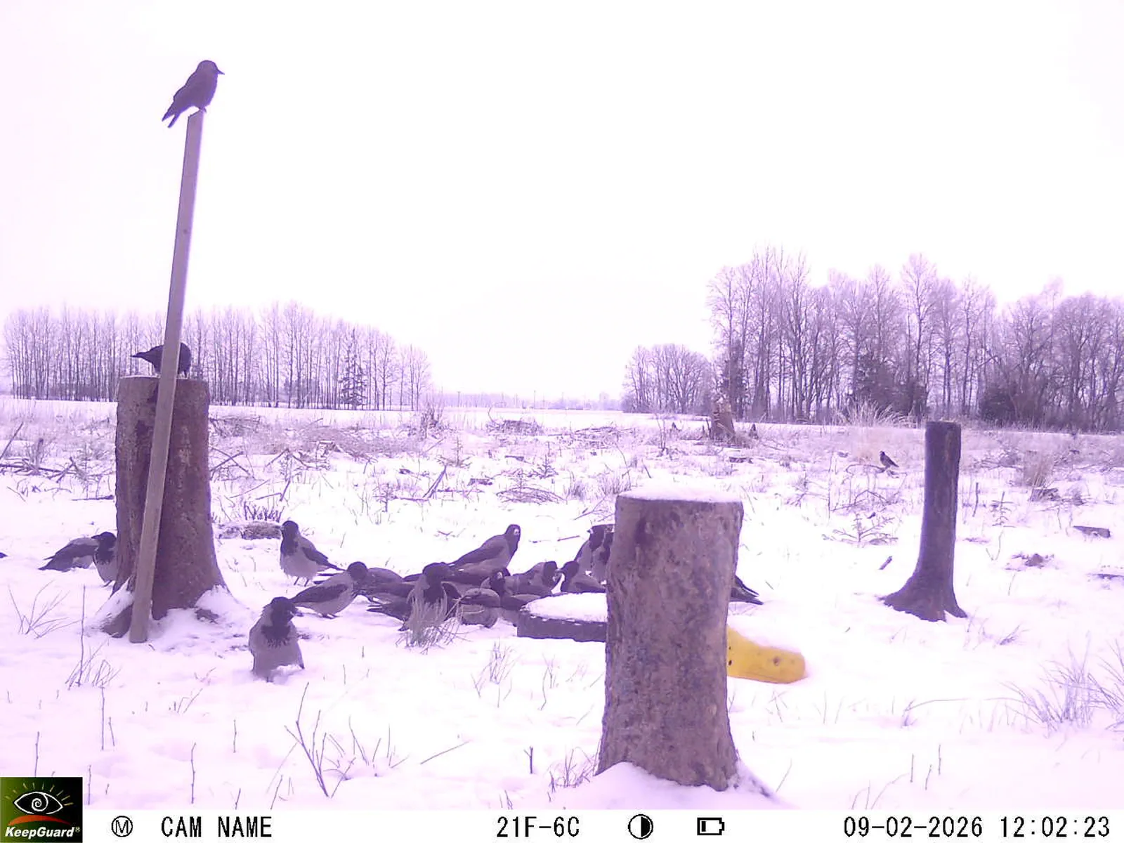 Bild: 1770631528137380097_02090515.webp