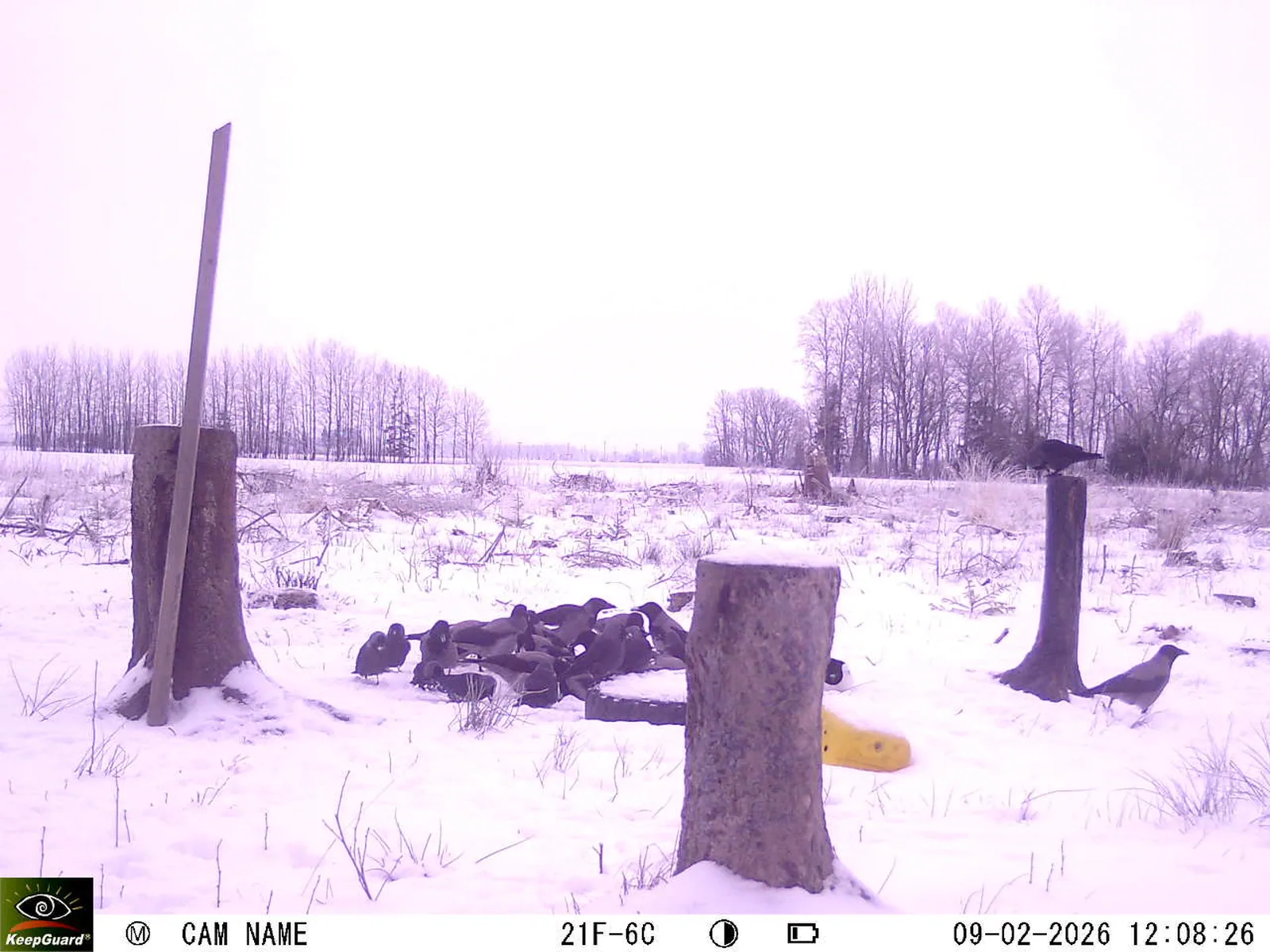 Bild: 1770631894867859149_02090516.webp