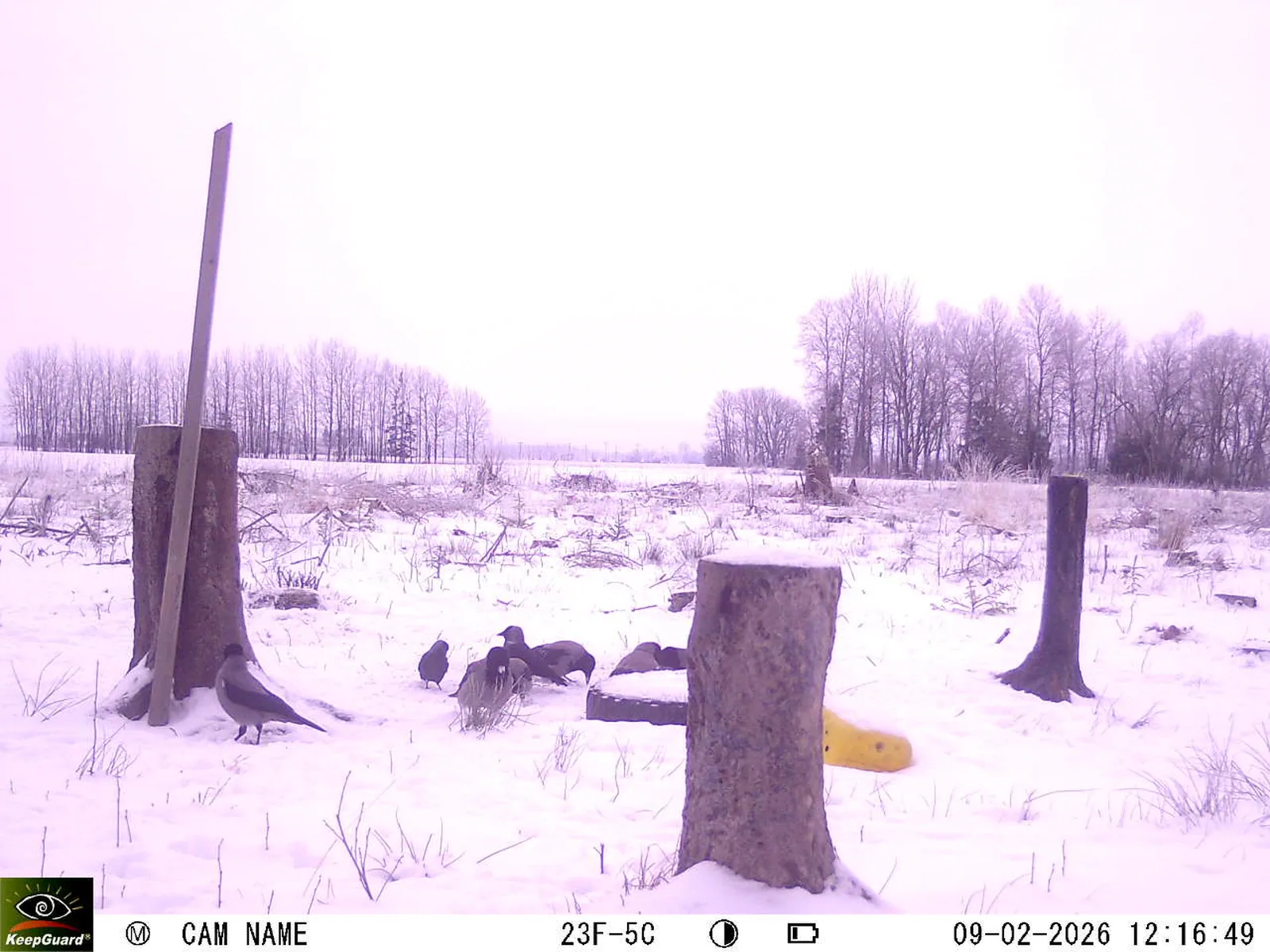 Bild: 1770632392639565590_02090517.webp