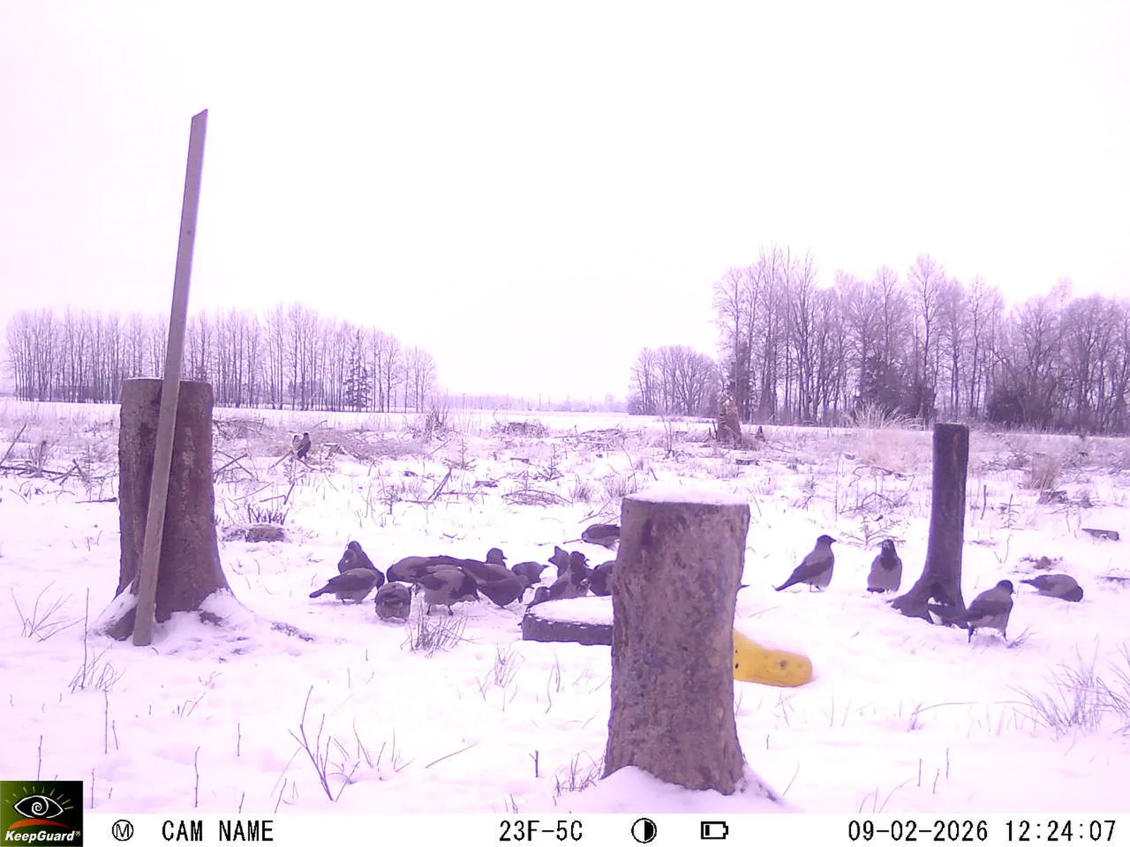 Bild: 1770632836590553162_02090518.webp