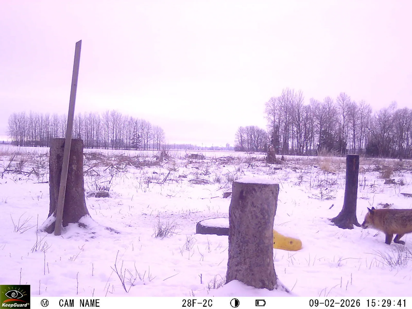 Bild: 1770643965391260855_02090520.webp