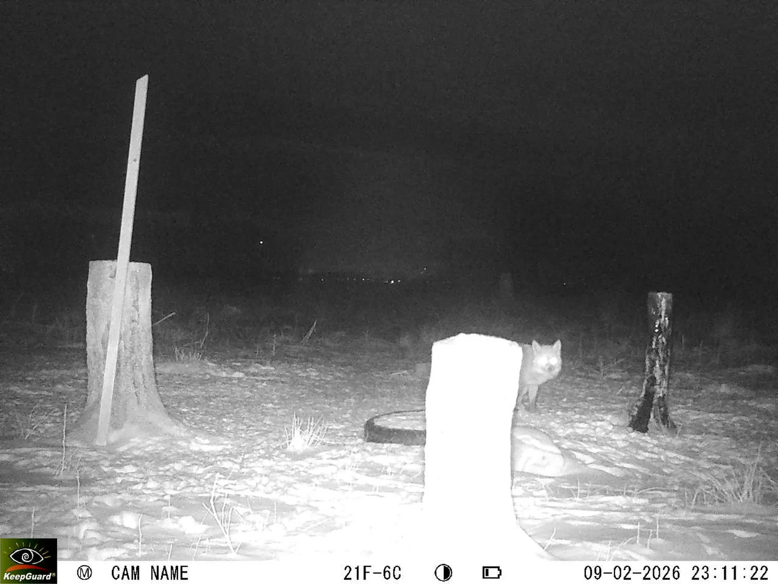 Bild: 1770671668560779127_02090521.webp