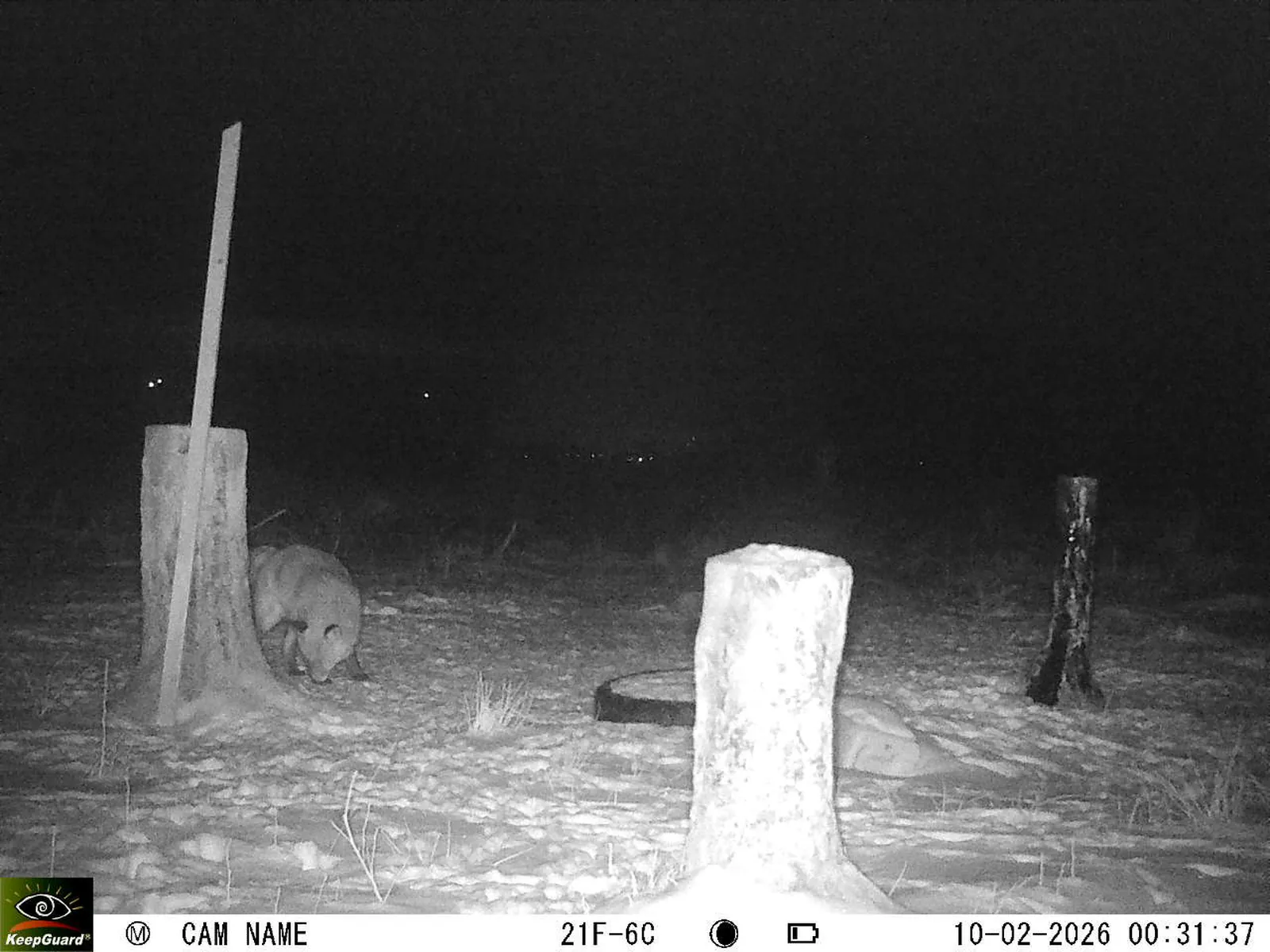 Bild: 1770676483431406163_02100522.webp