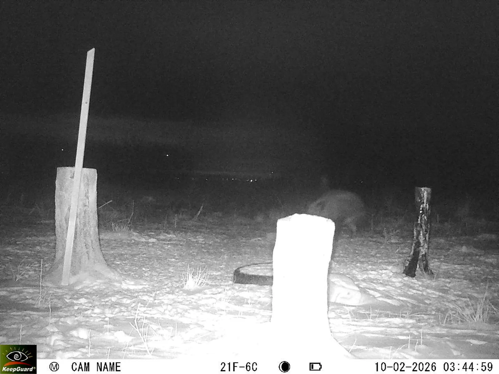 Bild: 1770688087068370622_02100524.webp