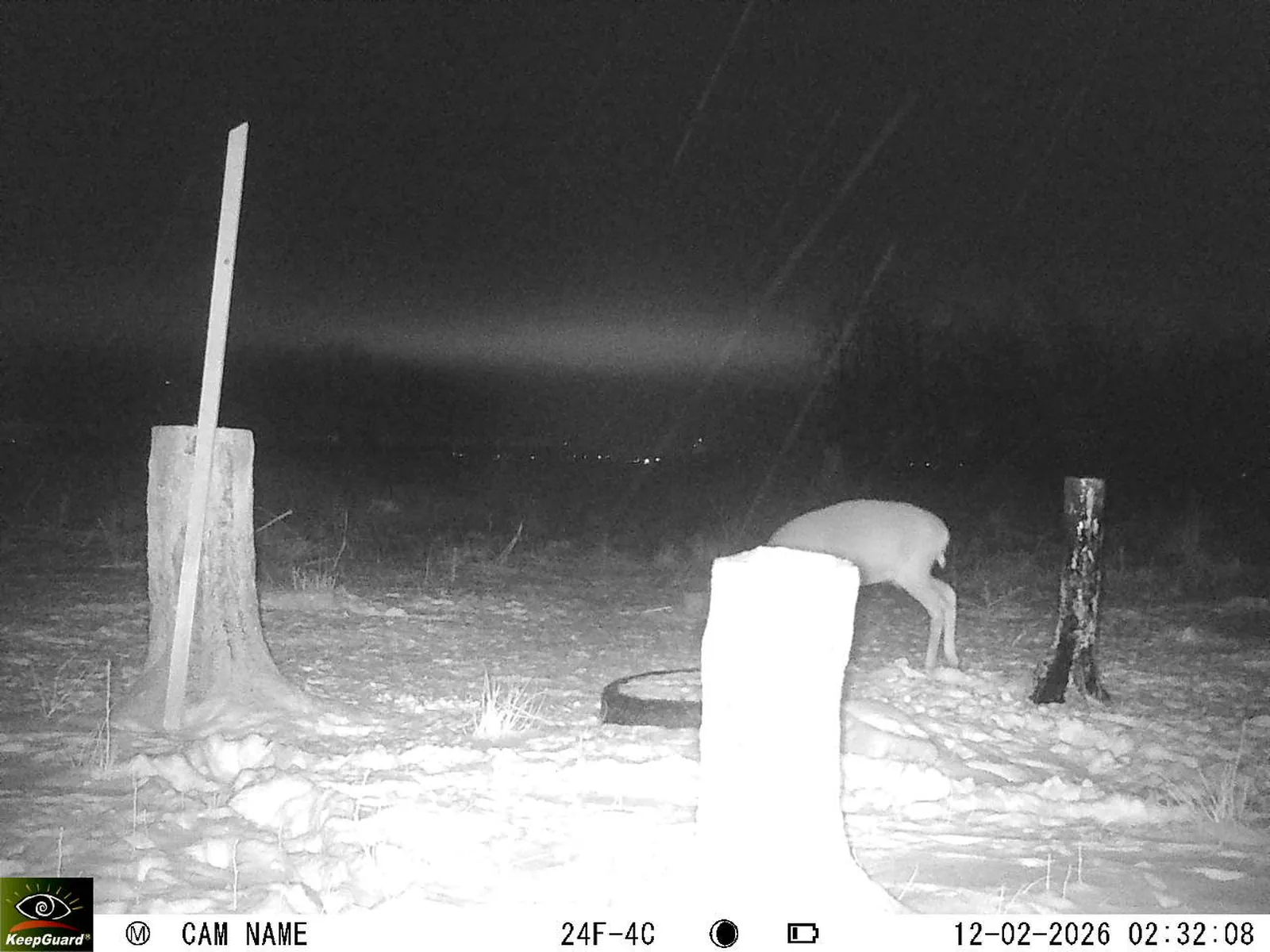 Bild: 1770856517277751028_02120529.webp