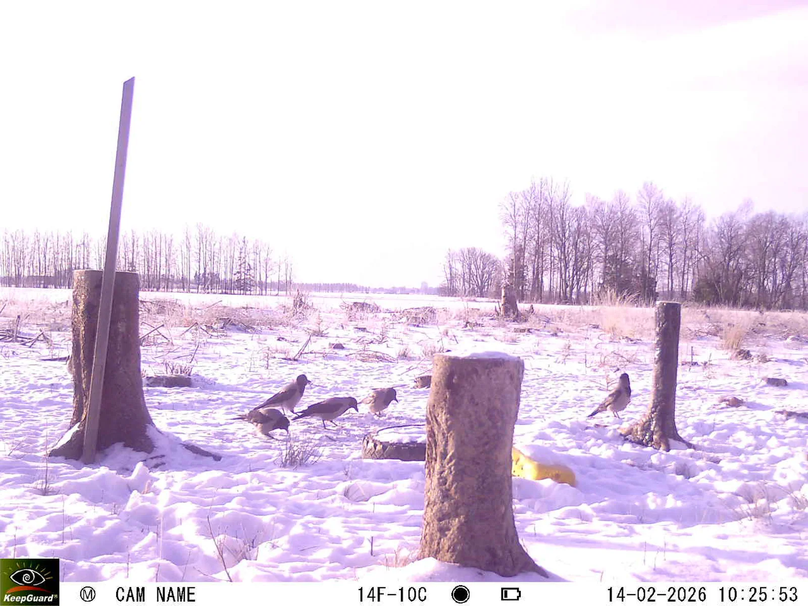 Bild: 1771057750368772282_02140538.webp