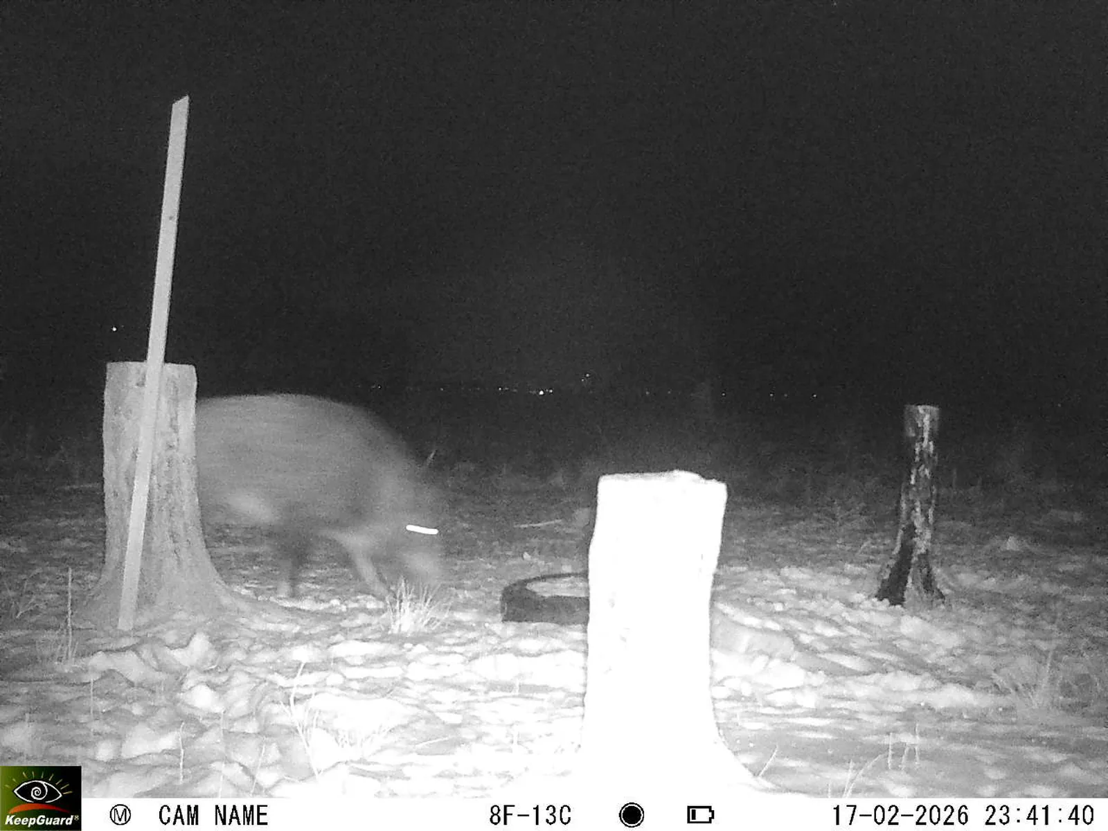 Bild: 1771364705251469193_02170548.webp