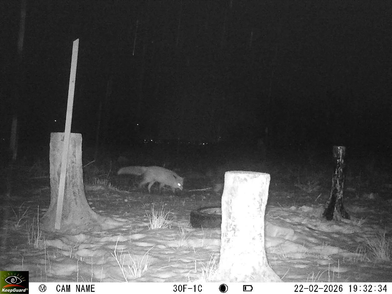 Bild: 1771781772029199242_02220562.webp