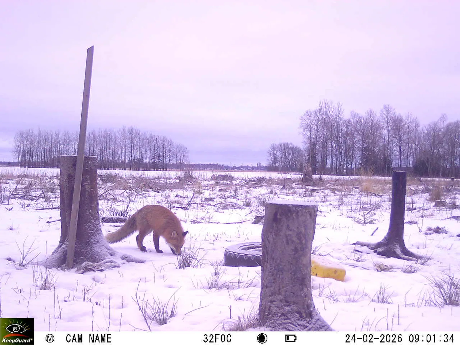 Bild: 1771916714769536631_02240567.webp