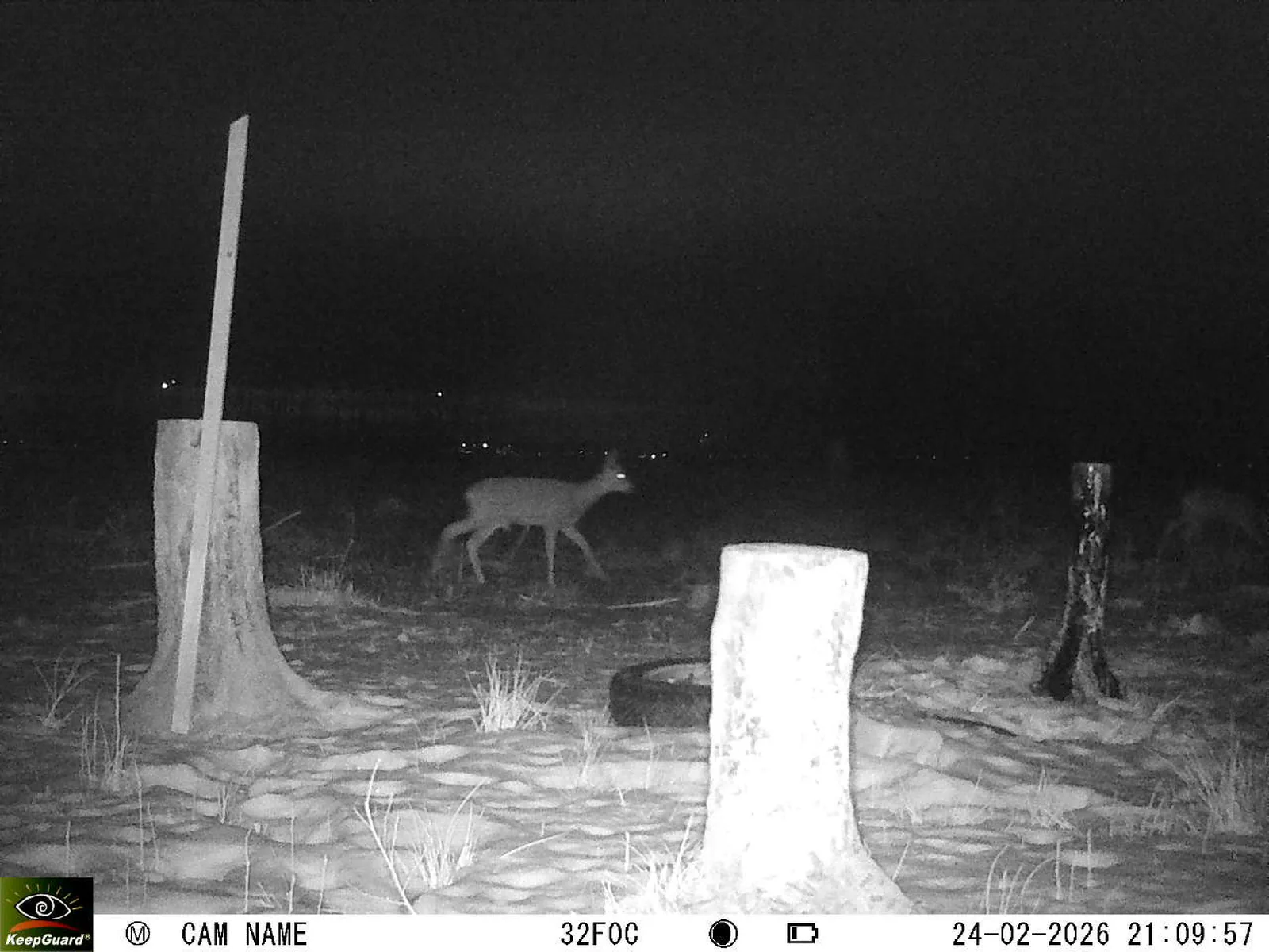 Bild: 1771960416561925569_02240571.webp