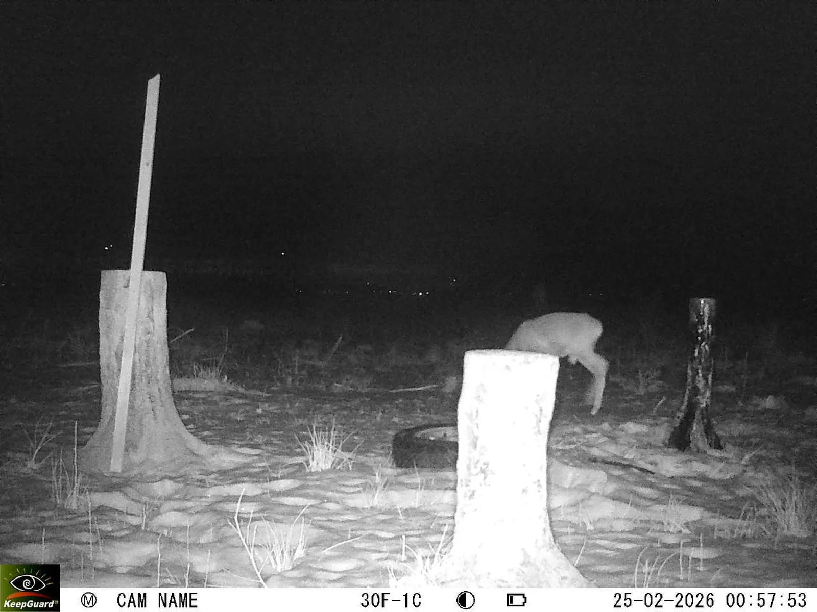 Bild: 1771974093776017175_02250575.webp