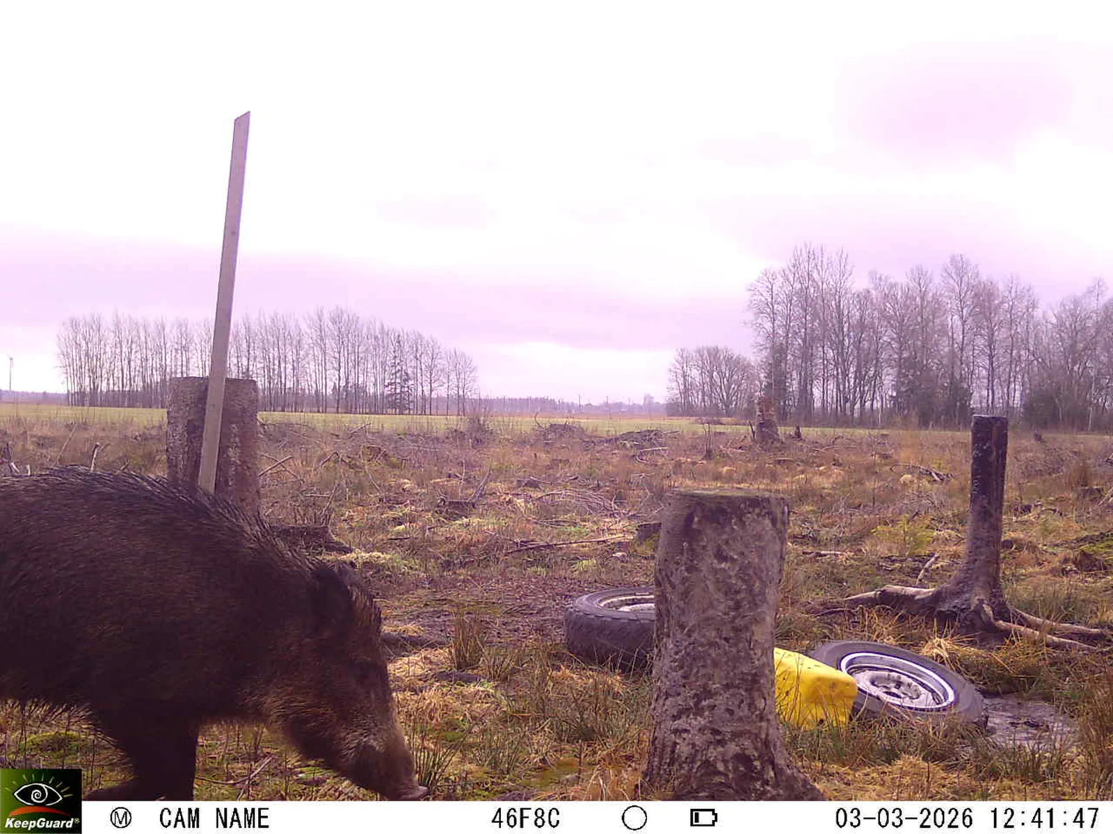 Bild: 1772534733963455260_03030581.webp