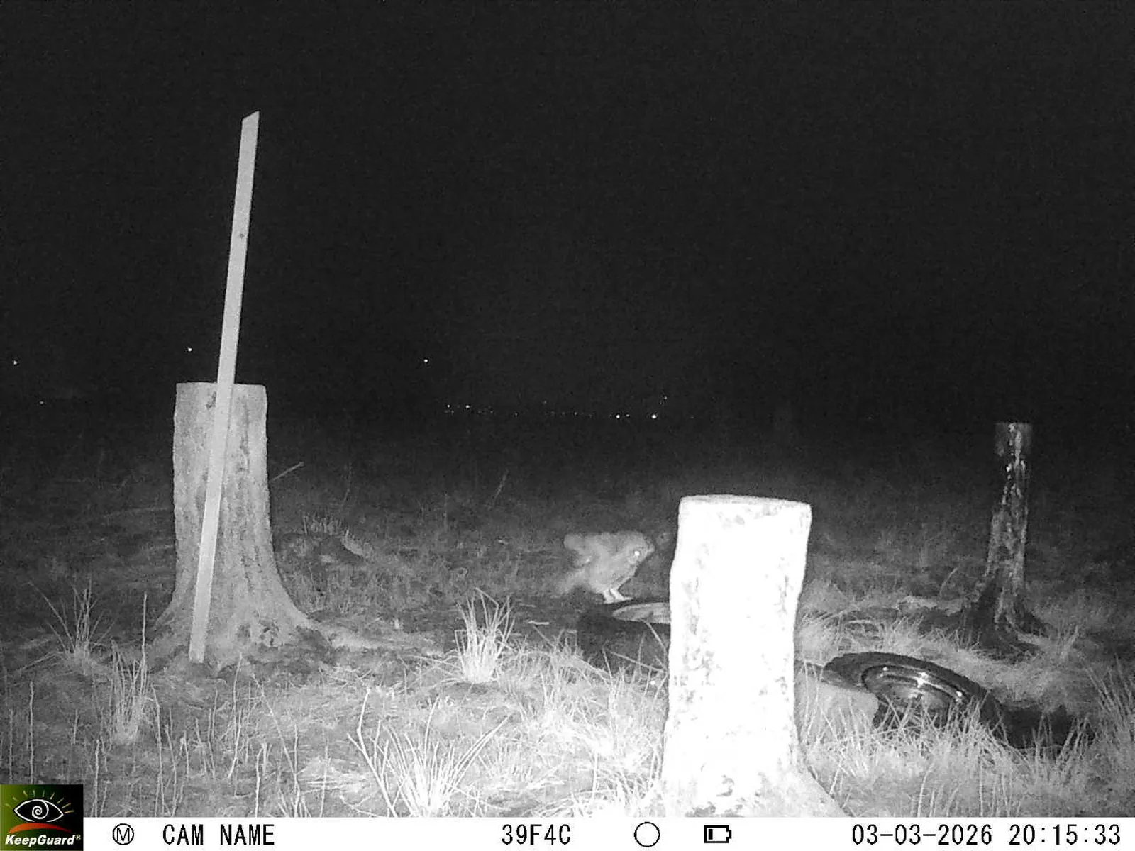 Bild: 1772561960742347218_03030584.webp