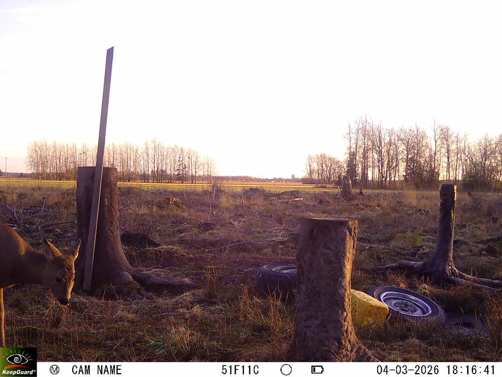 Bild: 1772641229323423048_03040589.webp