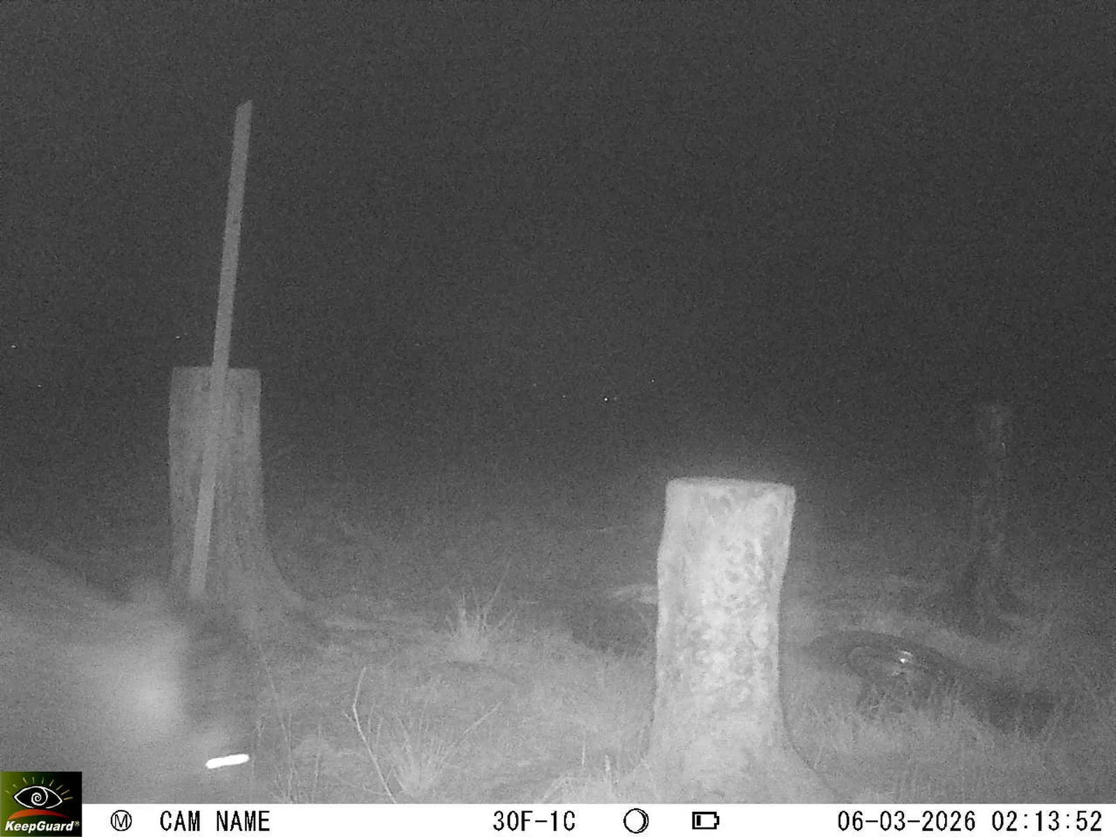 Bild: 1772756264563297461_03060590.webp