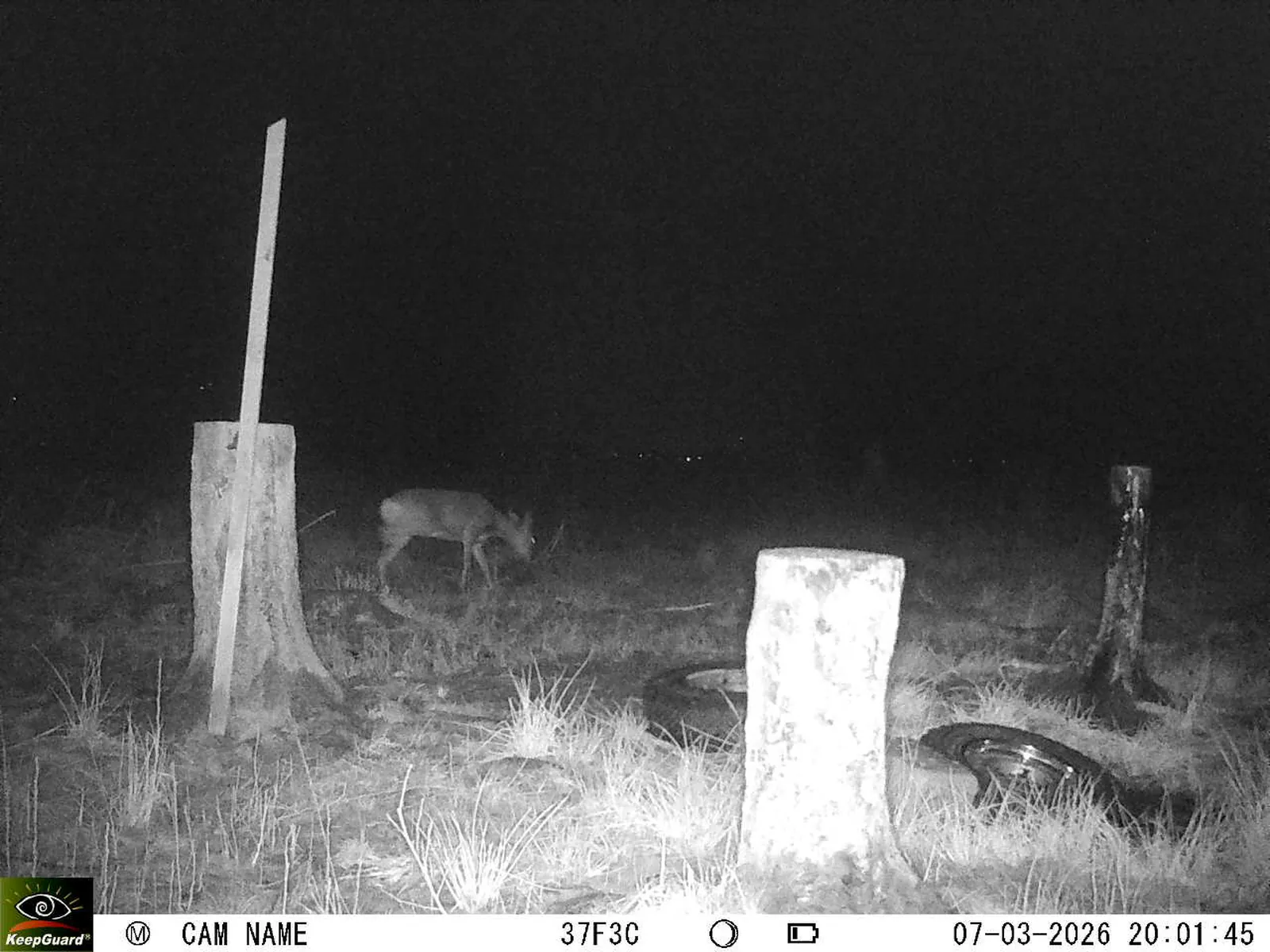 Bild: 1772906736876469638_03070600.webp