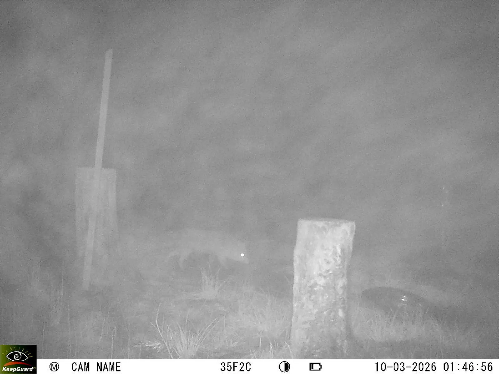 Bild: 1773100249310033287_03100607.webp