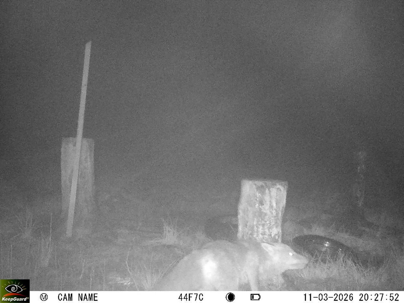 Bild: 1773253911441738422_03110610.webp