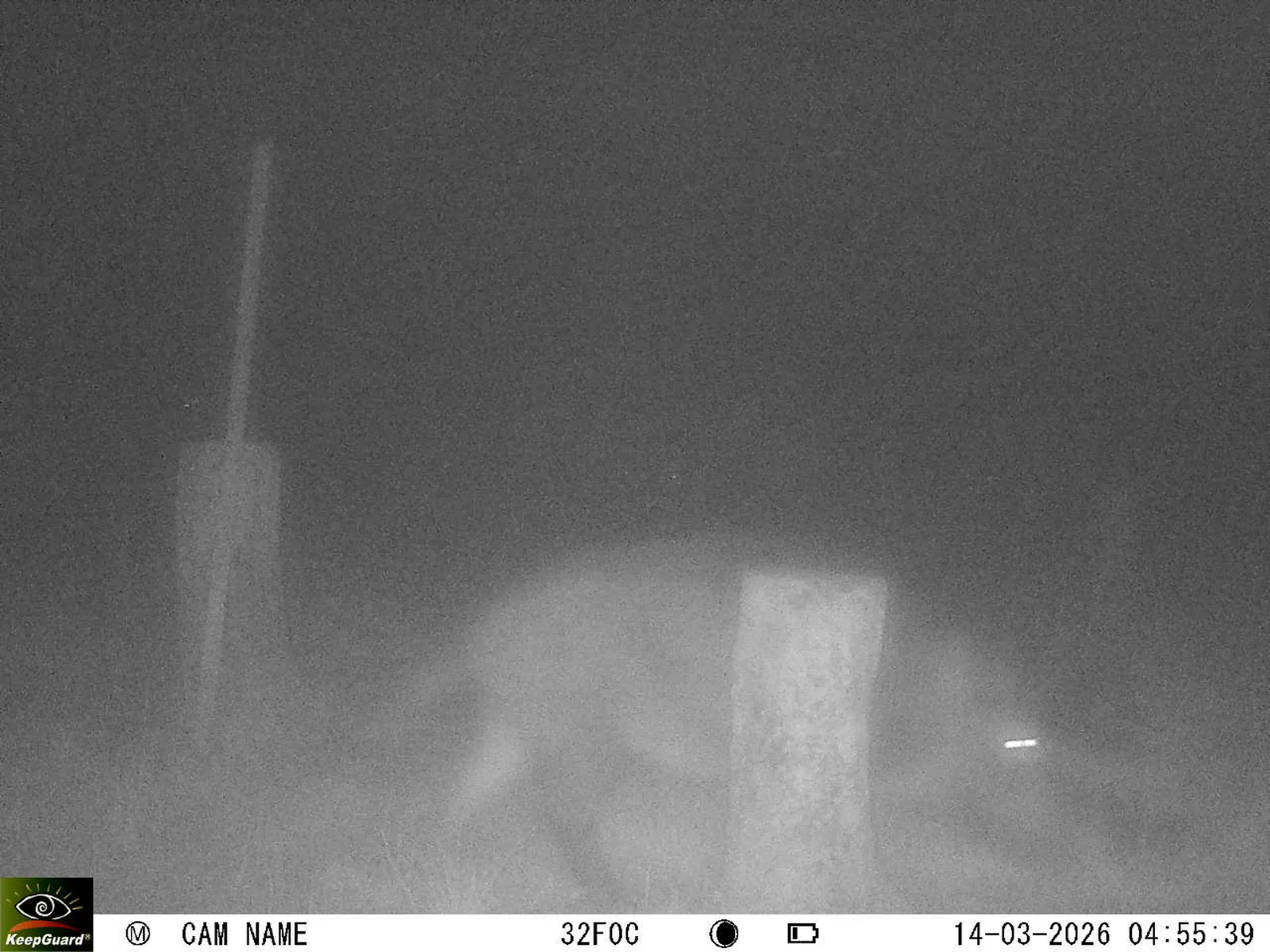 Bild: 1773457176994878453_03140611.webp