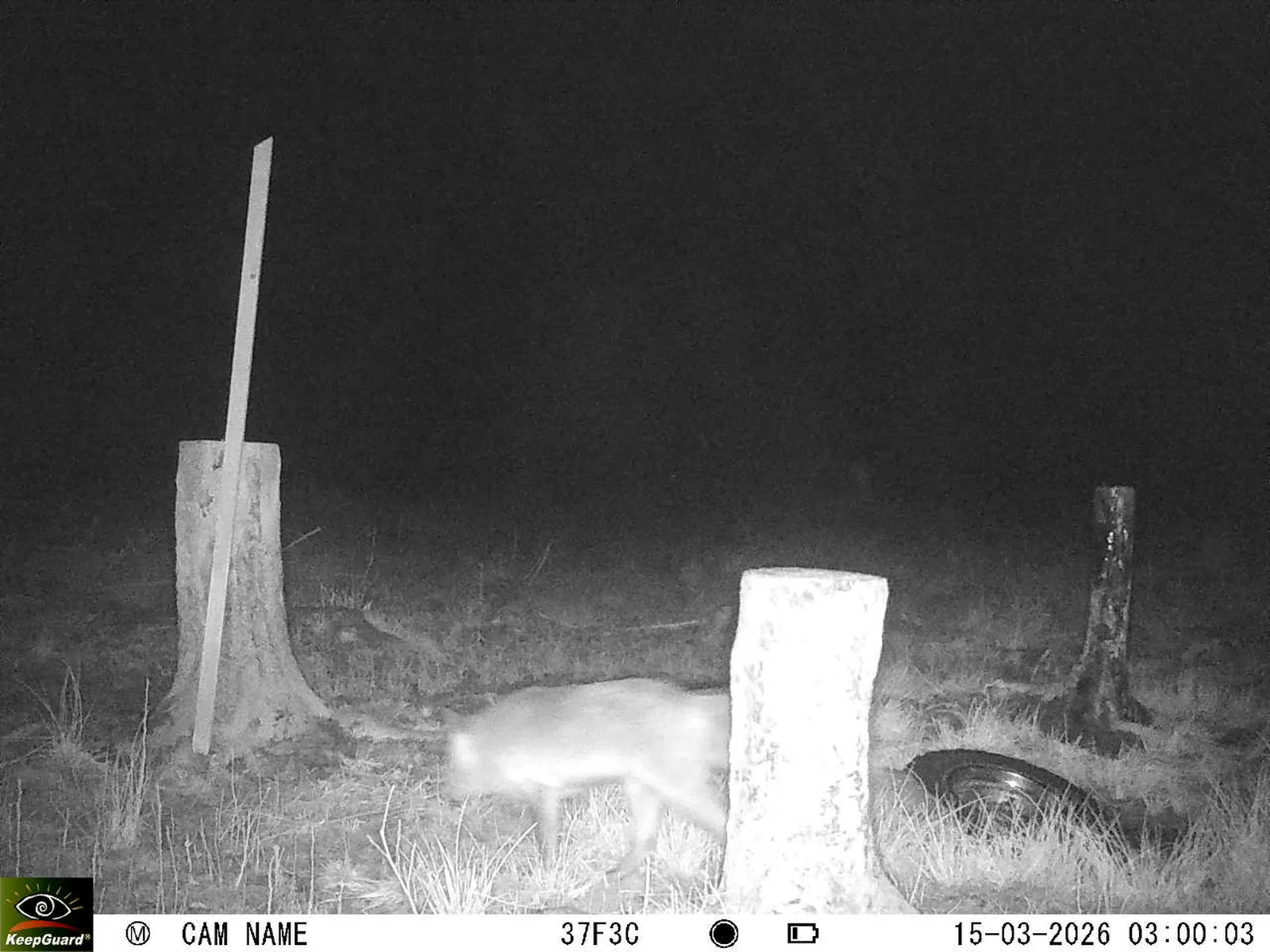 Bild: 1773536642581721959_03150613.webp