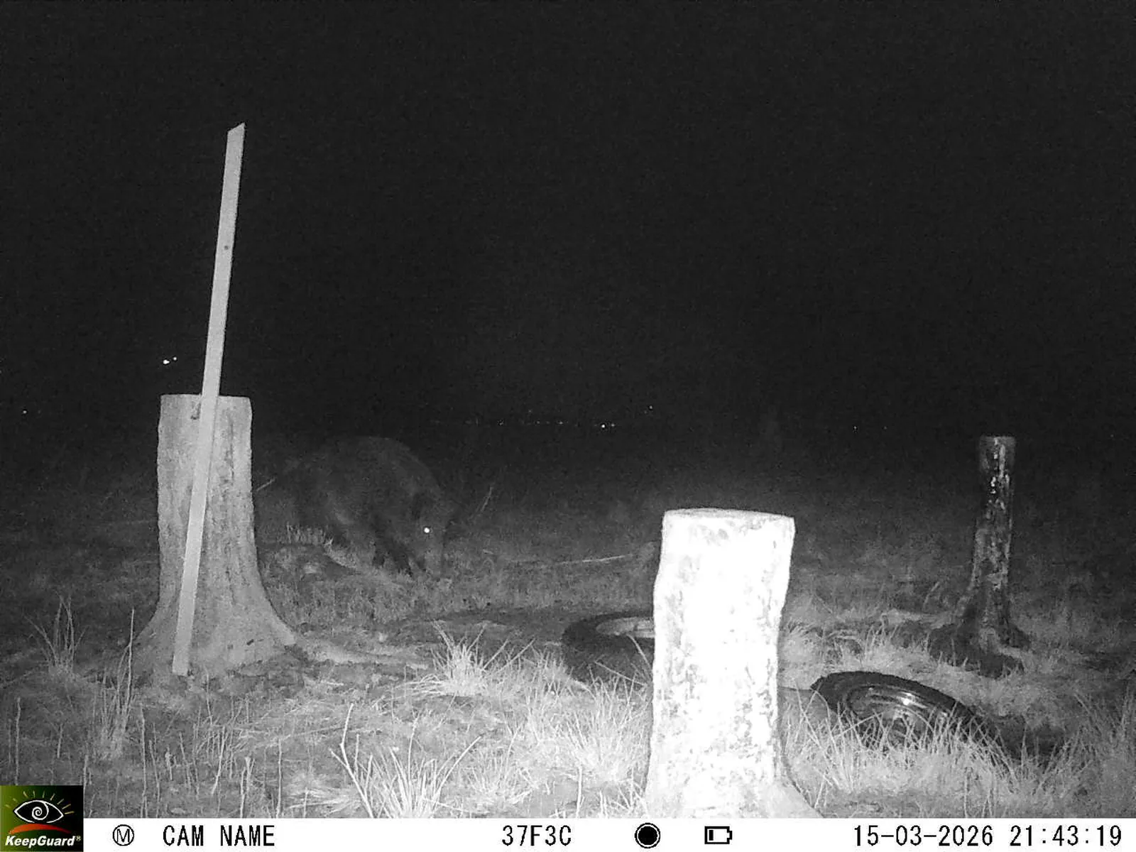 Bild: 1773604039150373732_03150614.webp