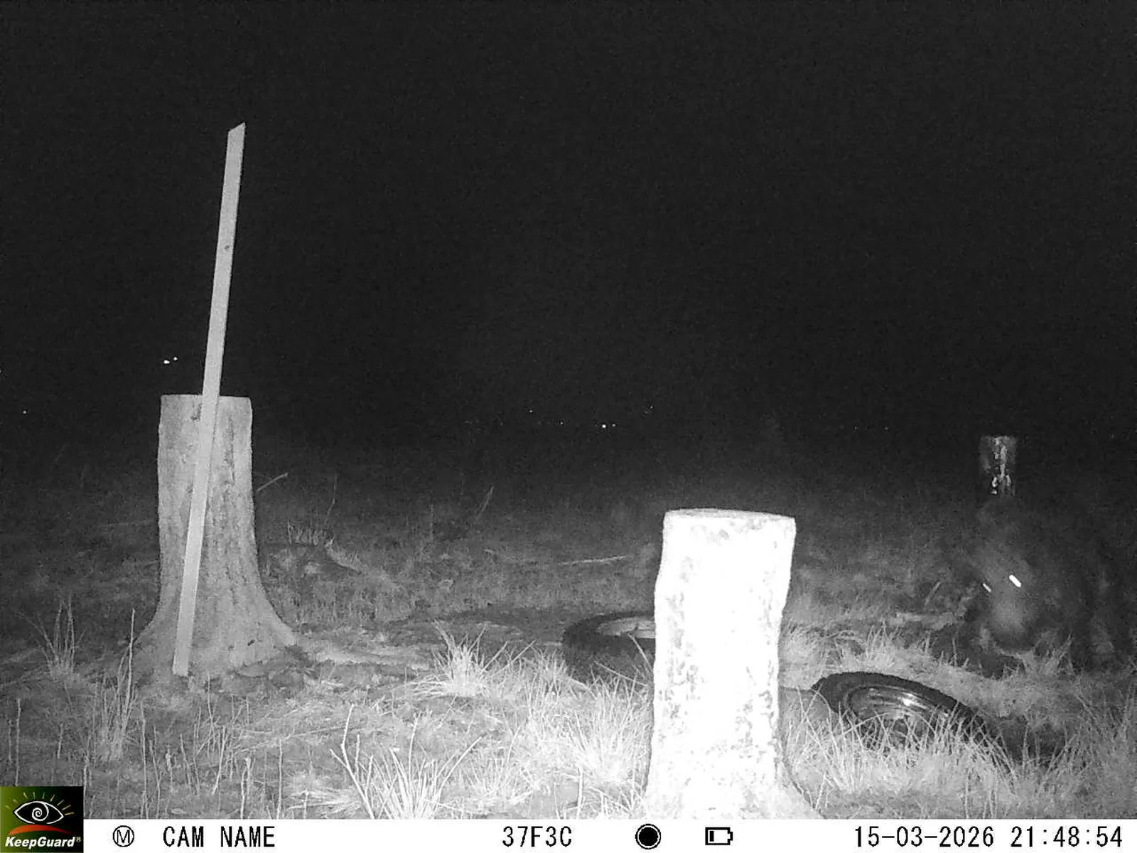 Bild: 1773604373758493636_03150615.webp